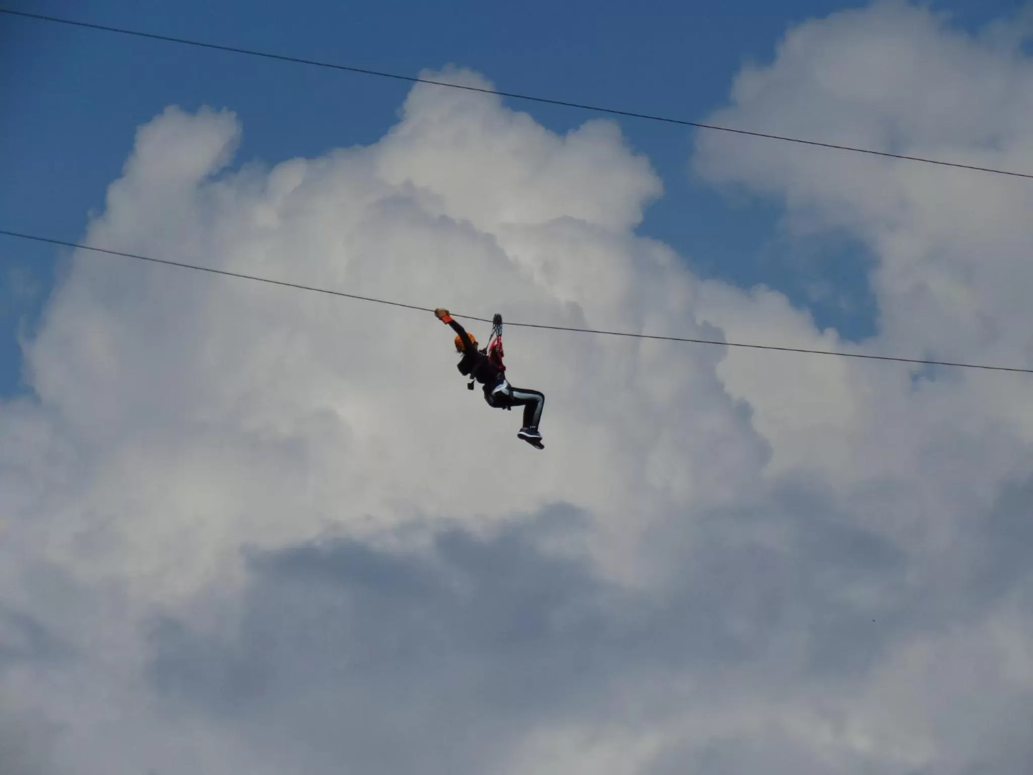 Activities in TREE TREK BOQUETE Adventure Park