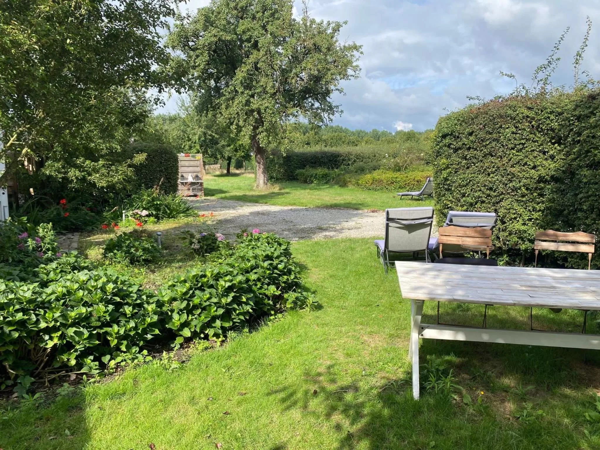 Garden in Hamiora wellness B&B