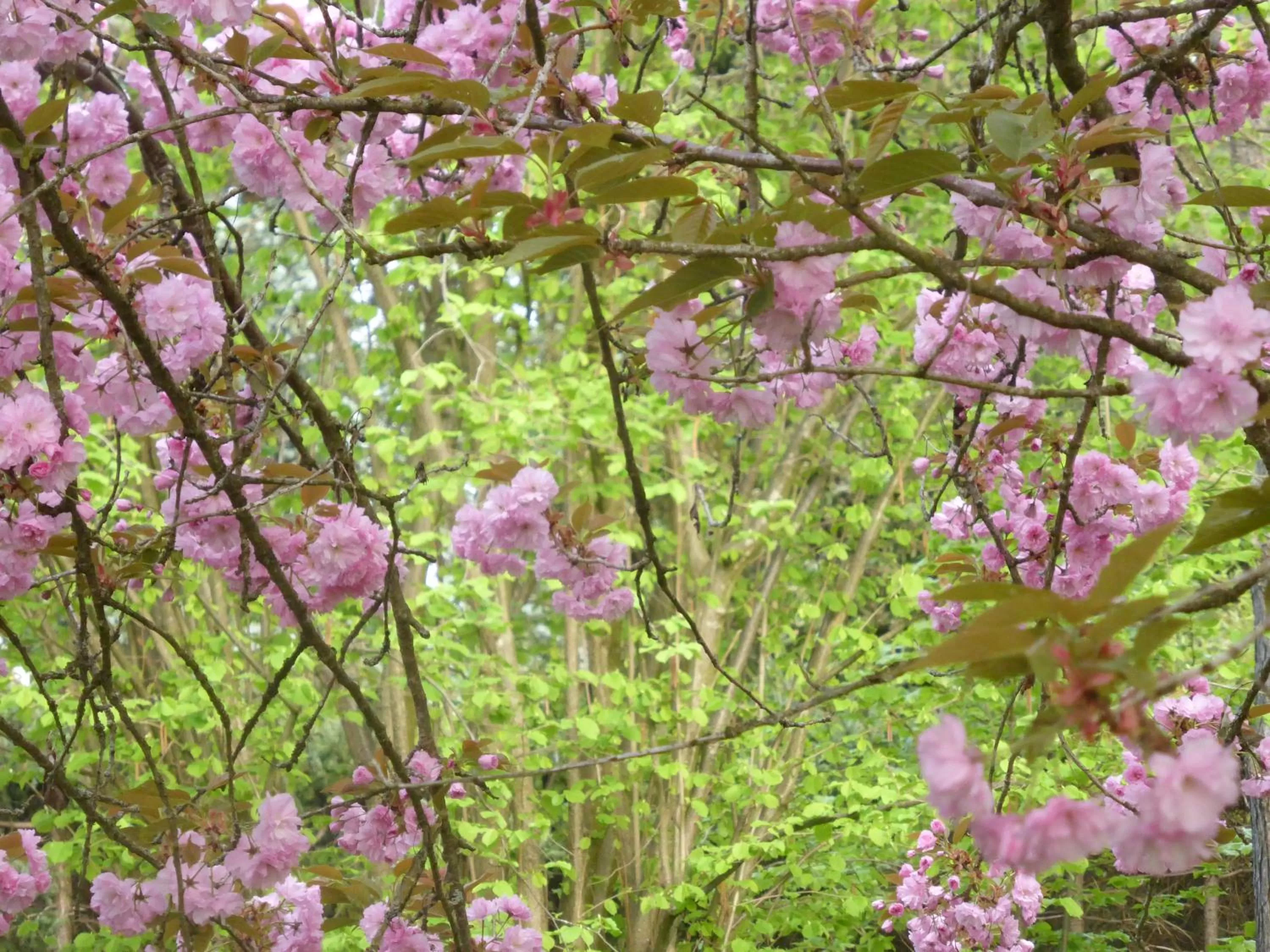 Natural landscape in Bed and Breakfast Bavaria München