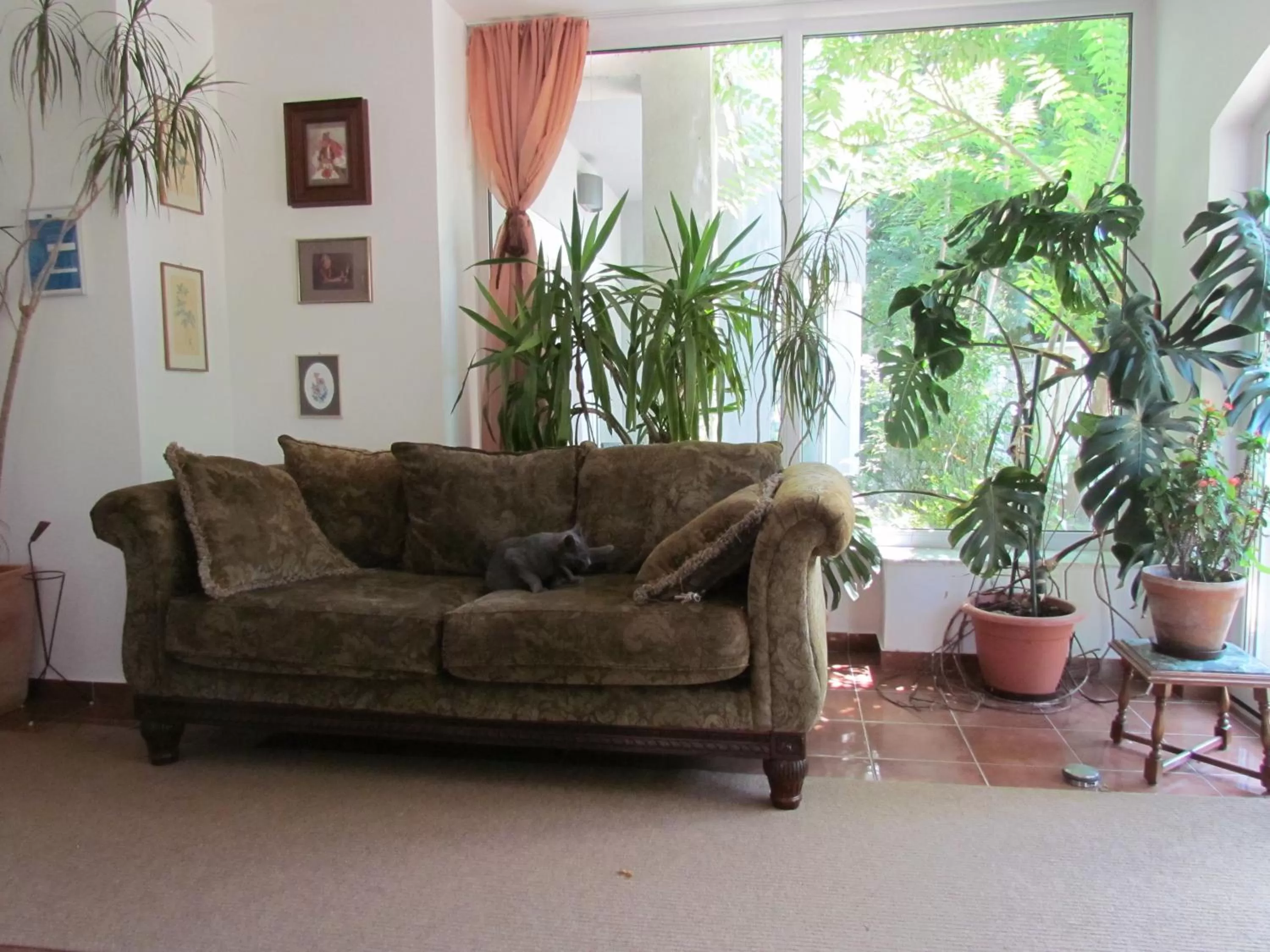 Other, Seating Area in Pansion Vila Vanda