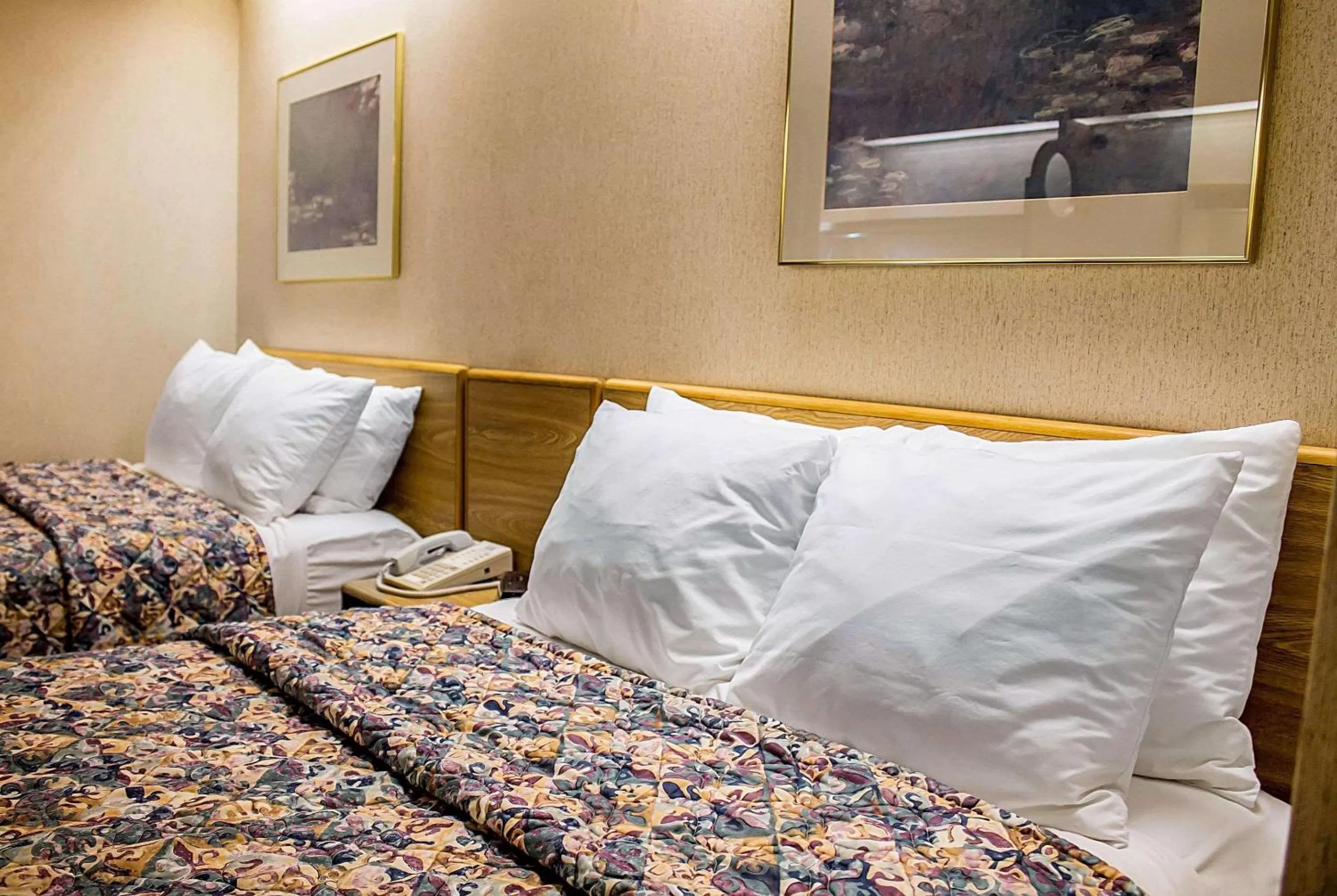 Photo of the whole room, Bed in Rodeway Inn Abbotsford