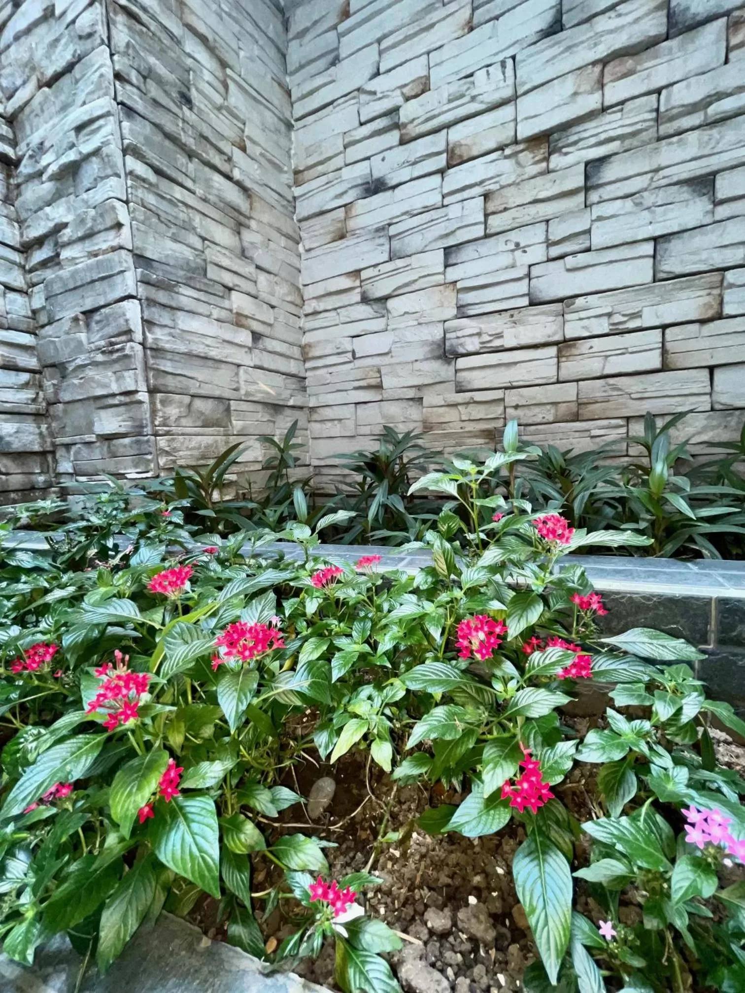 Garden in 3H HOTEL Av 70