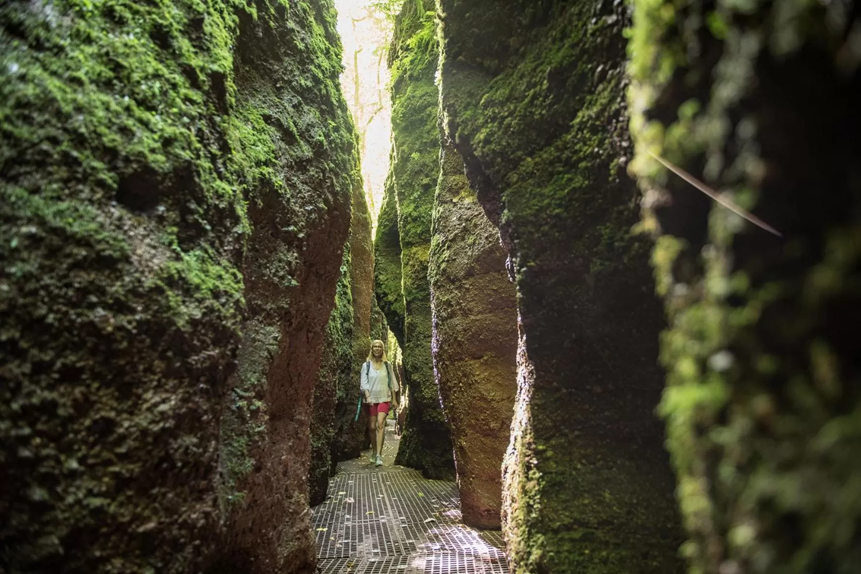 Nearby landmark, Natural Landscape in Suites MITTE - Aparthotel
