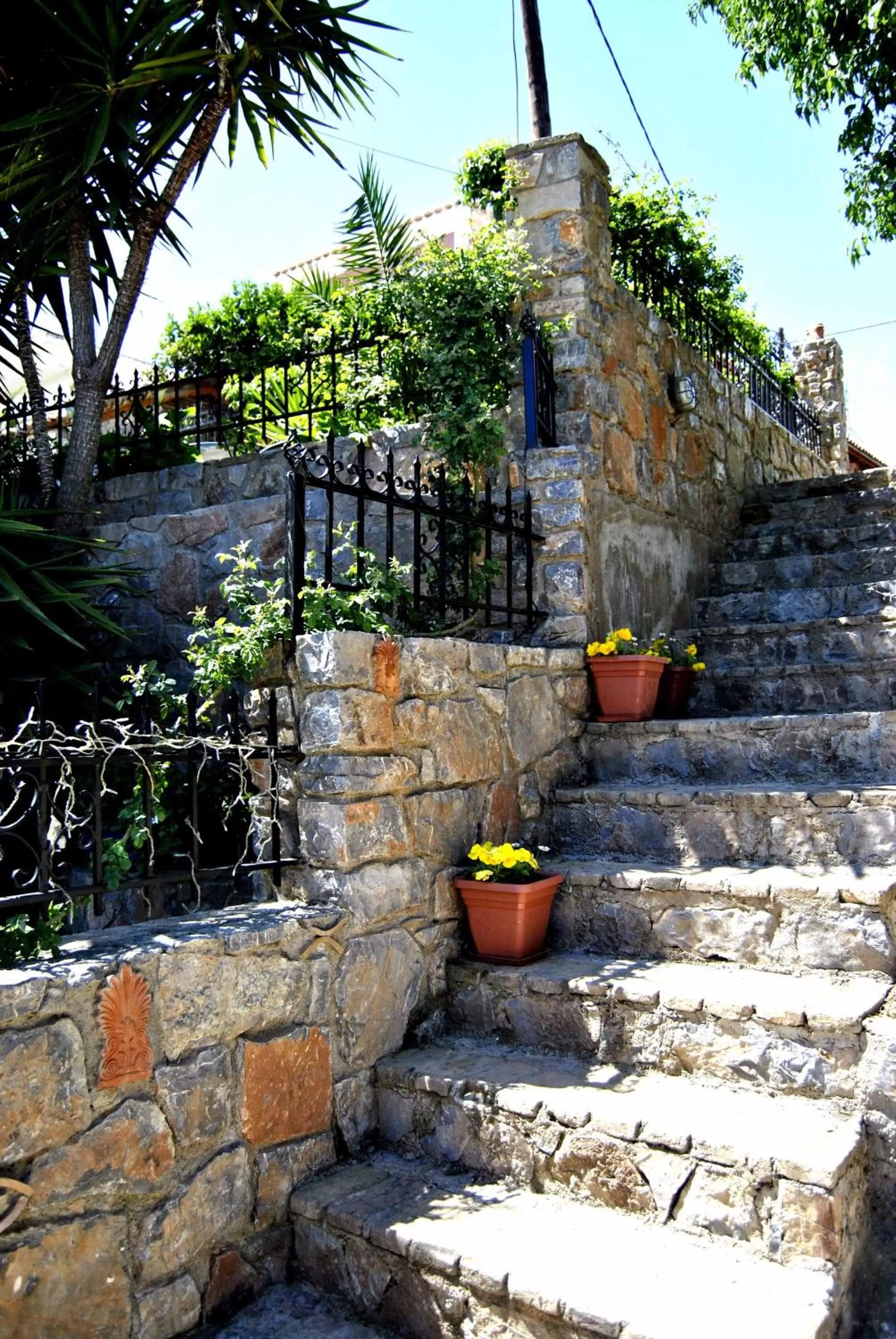 Area and facilities in Filoxenia Studios