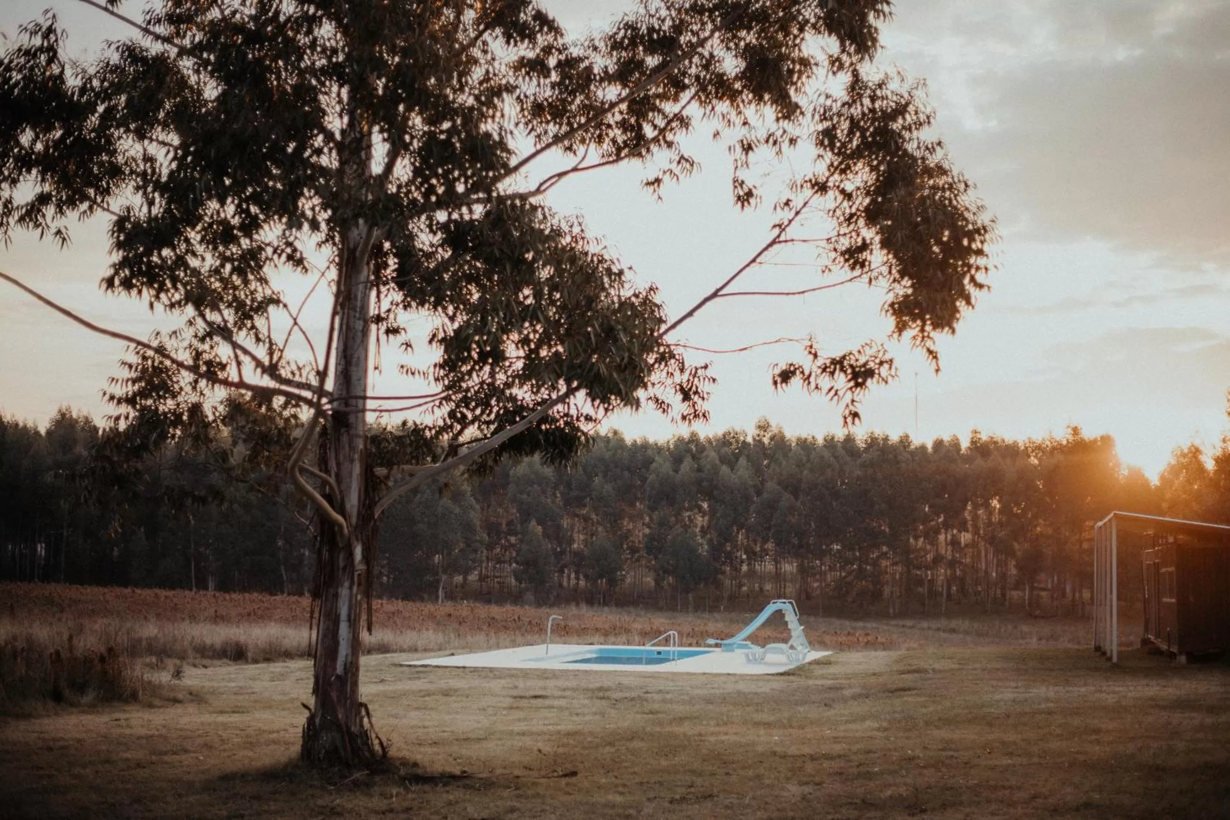 Garden in Campo Abierto