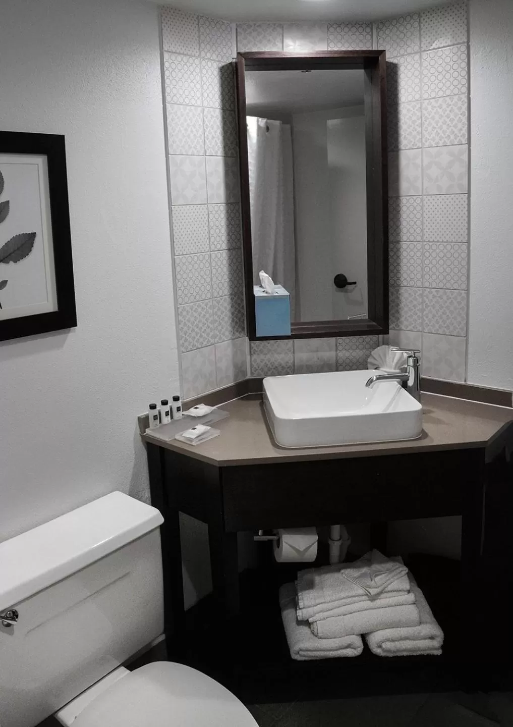 Bathroom in Country Inn & Suites by Radisson, Grand Prairie-DFW-Arlington, TX