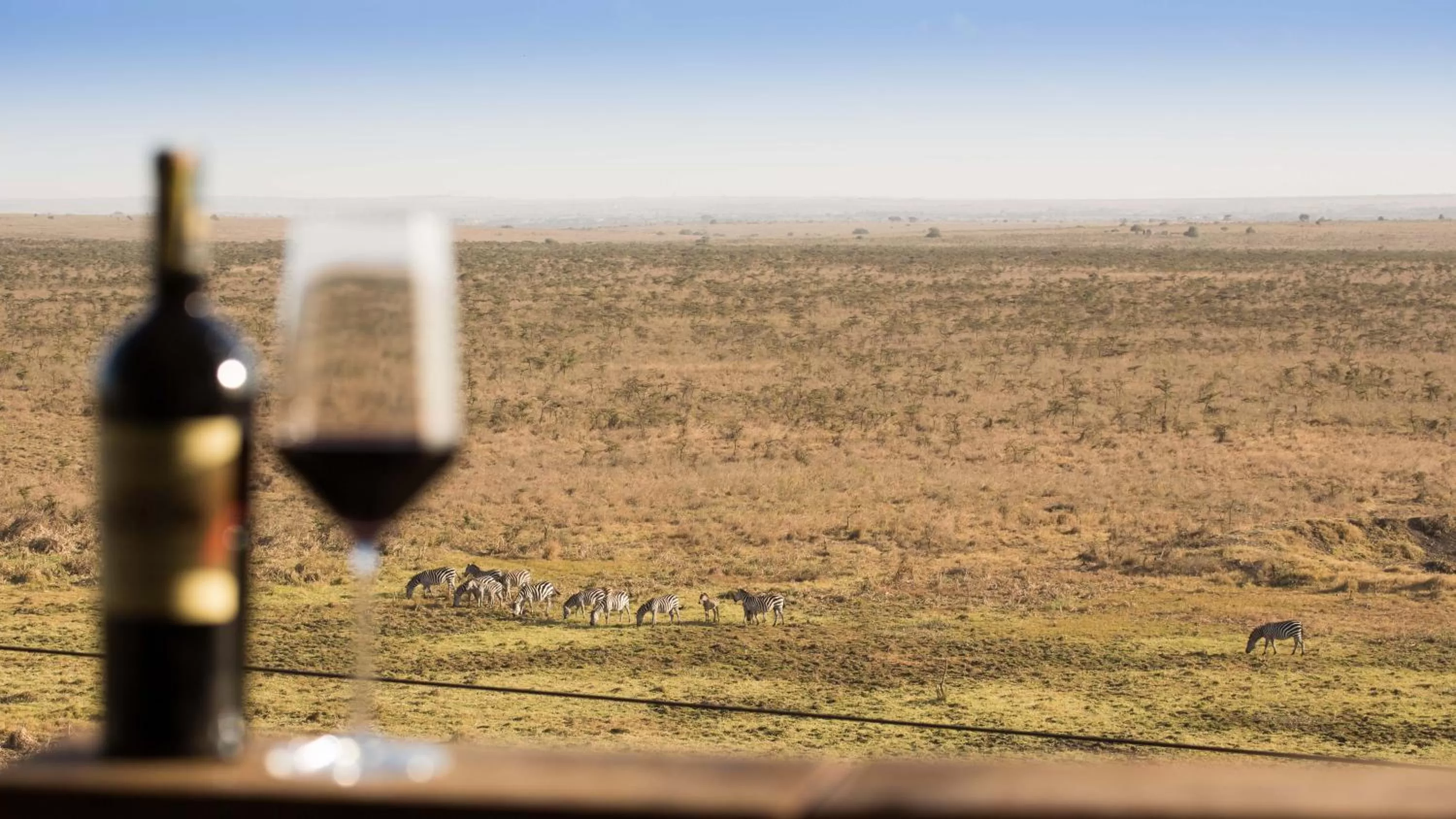 Alcoholic drinks in Ole Sereni