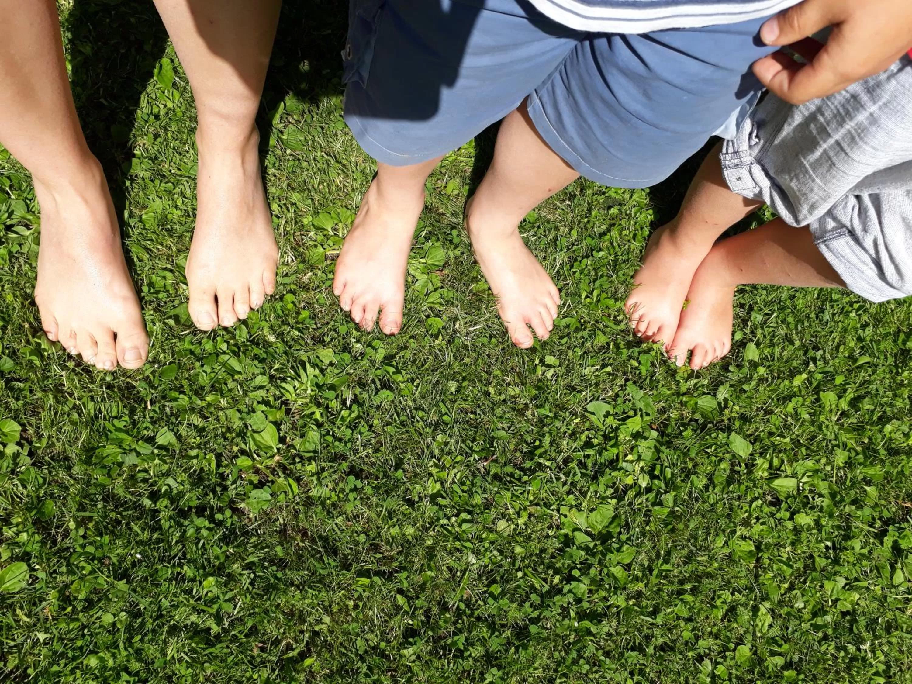 Garden in Parc Hotel Florian