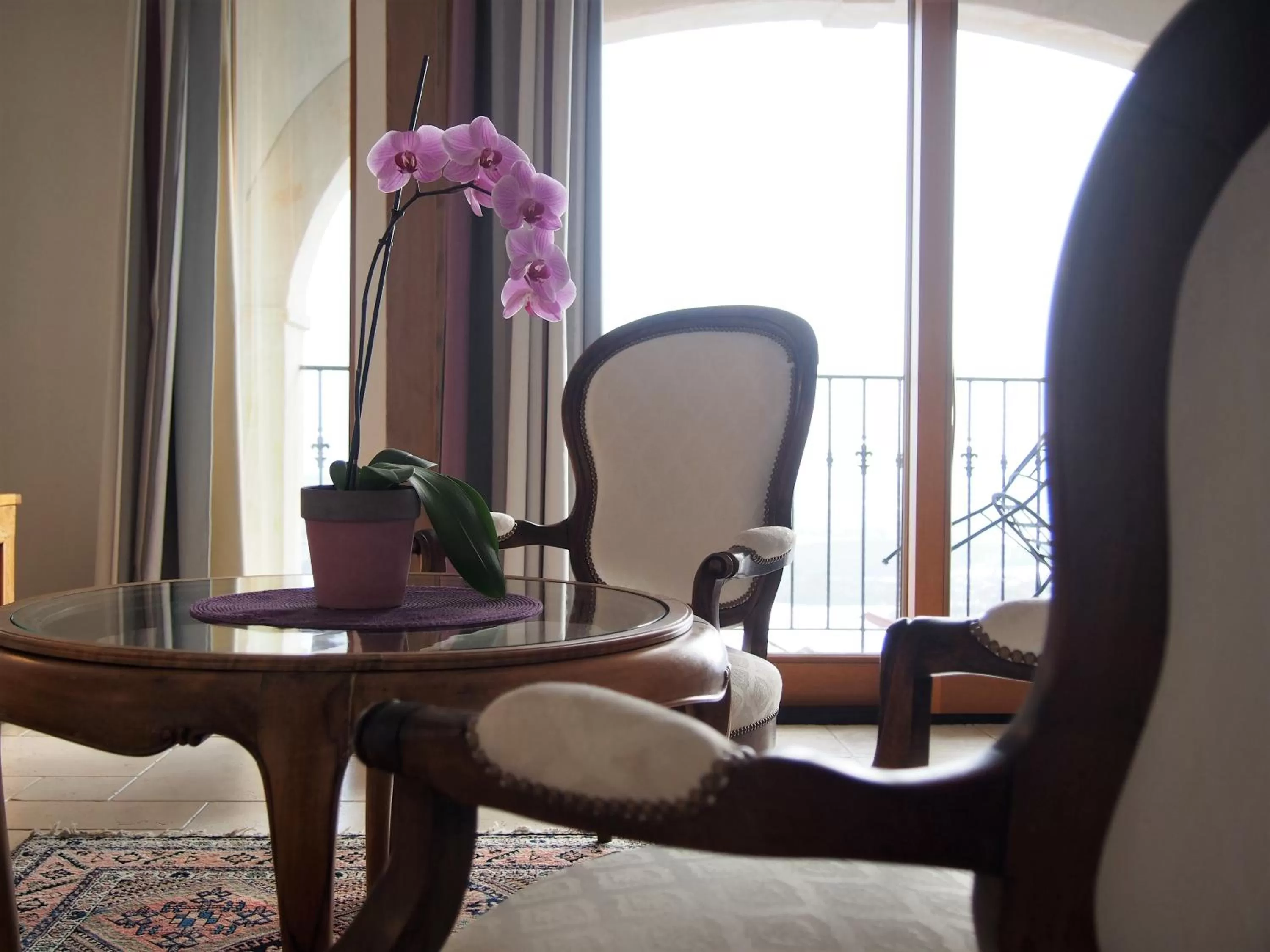 Les Lumières de Genève