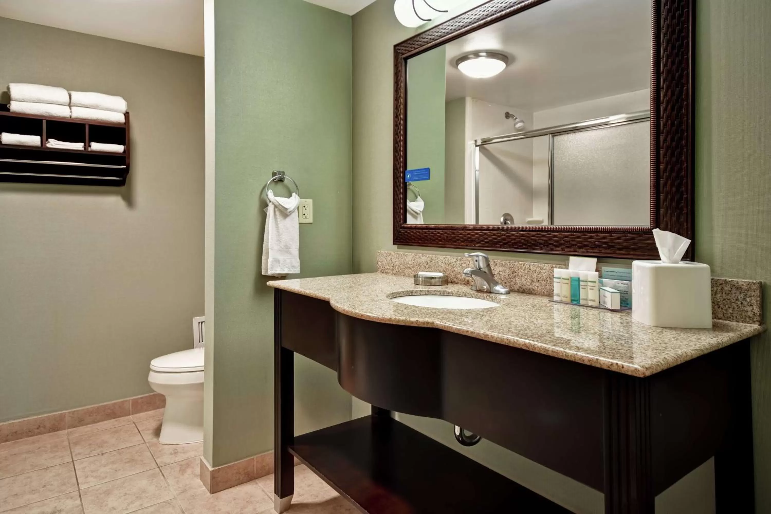 Bathroom in Hampton Inn & Suites Detroit-Canton