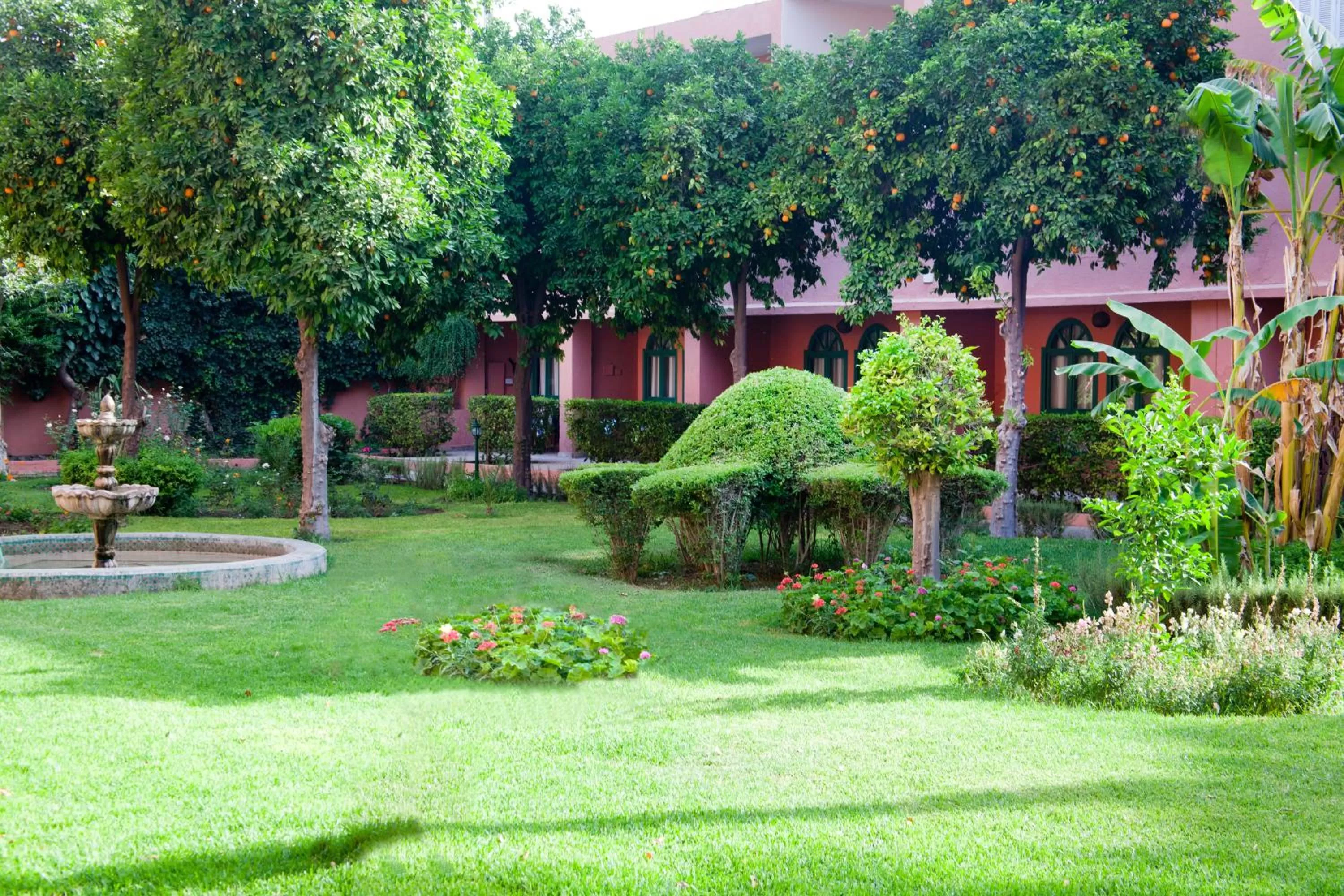 Facade/entrance in Chems Hotel