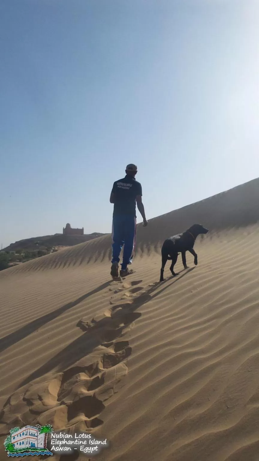 Property building in Nubian Lotus