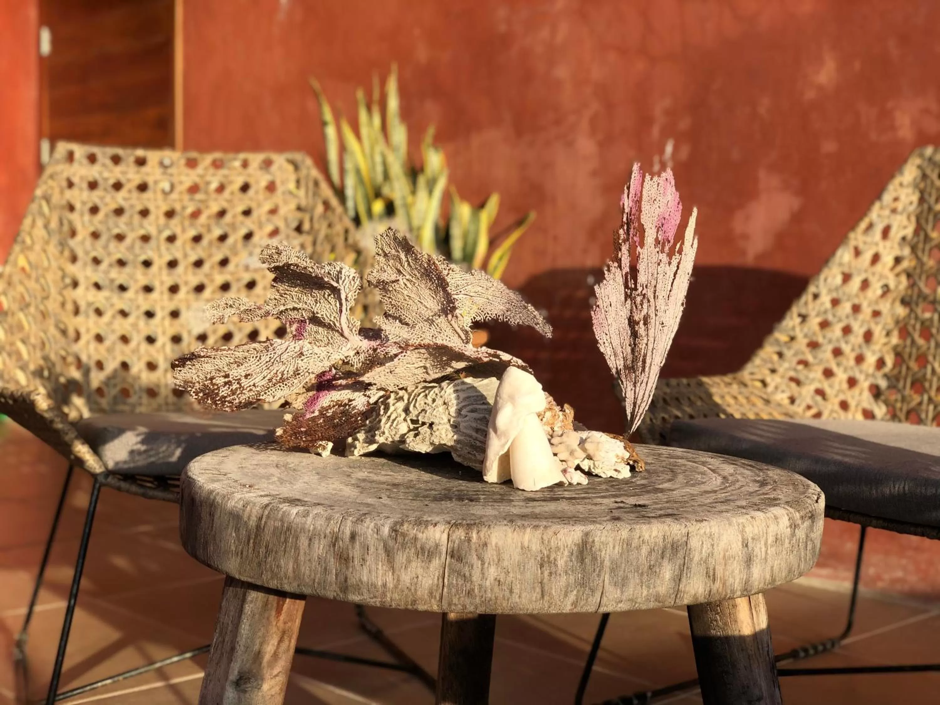 Patio in Panacea Condo Tulum