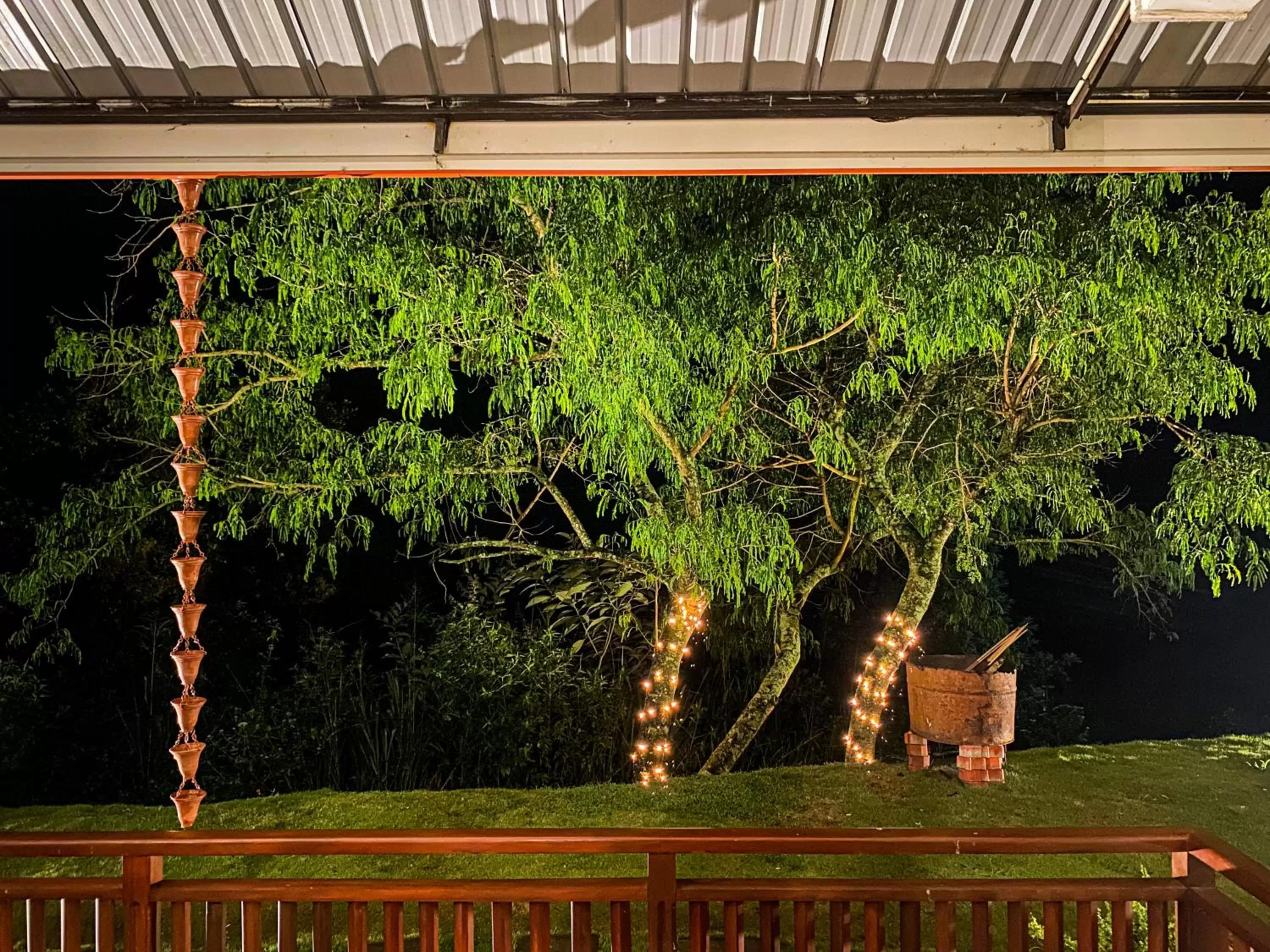 Night, Garden in Levon Boutique Hotel