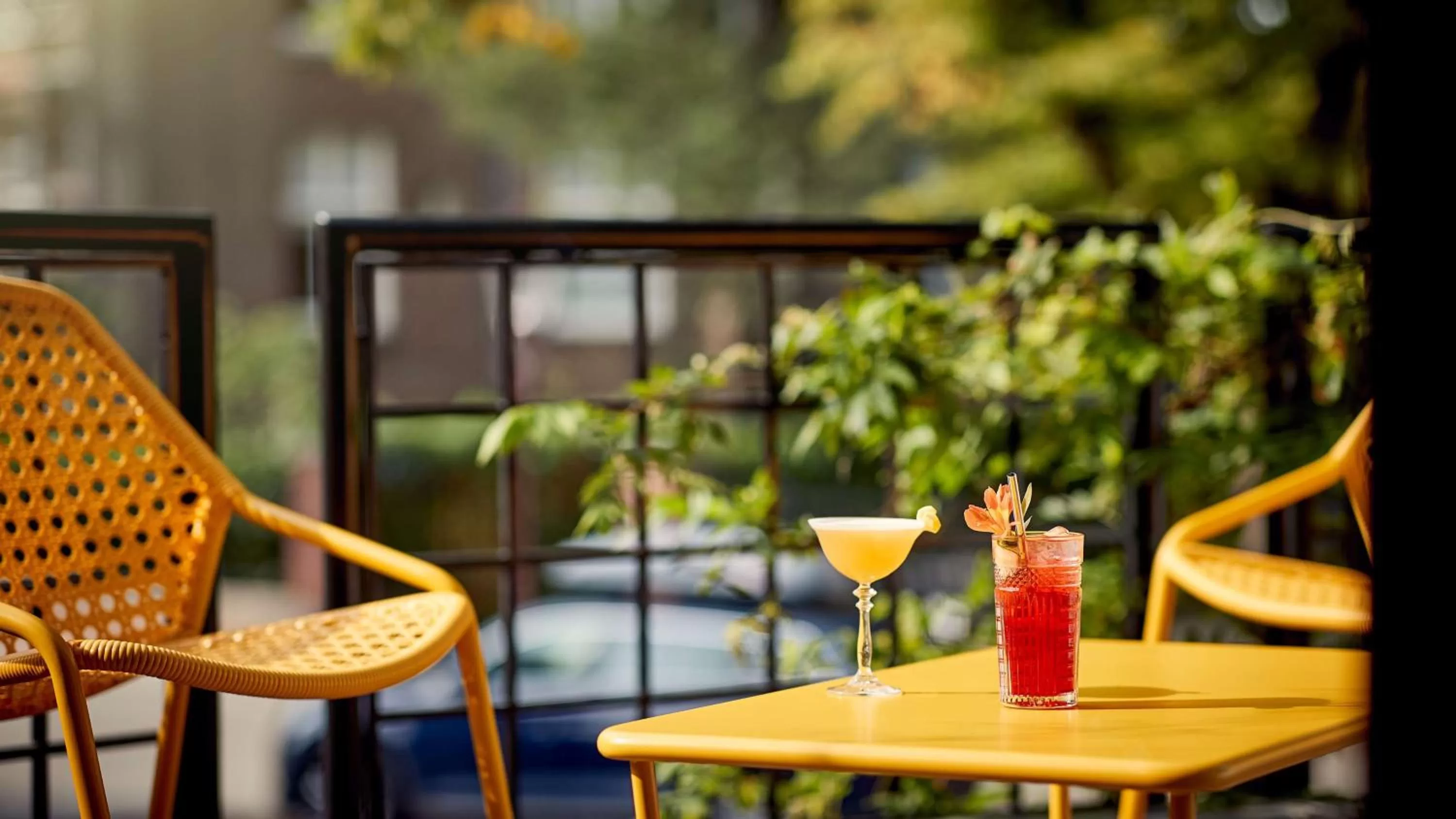 Patio in Park Plaza Vondelpark Amsterdam