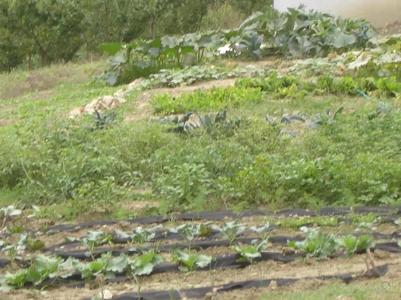 Casa dell' Abbondanza B&B Agriturismo