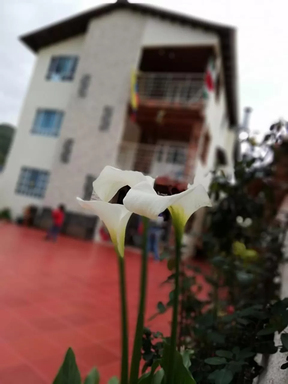 Property Building in Portal de la Cascada - Mongui