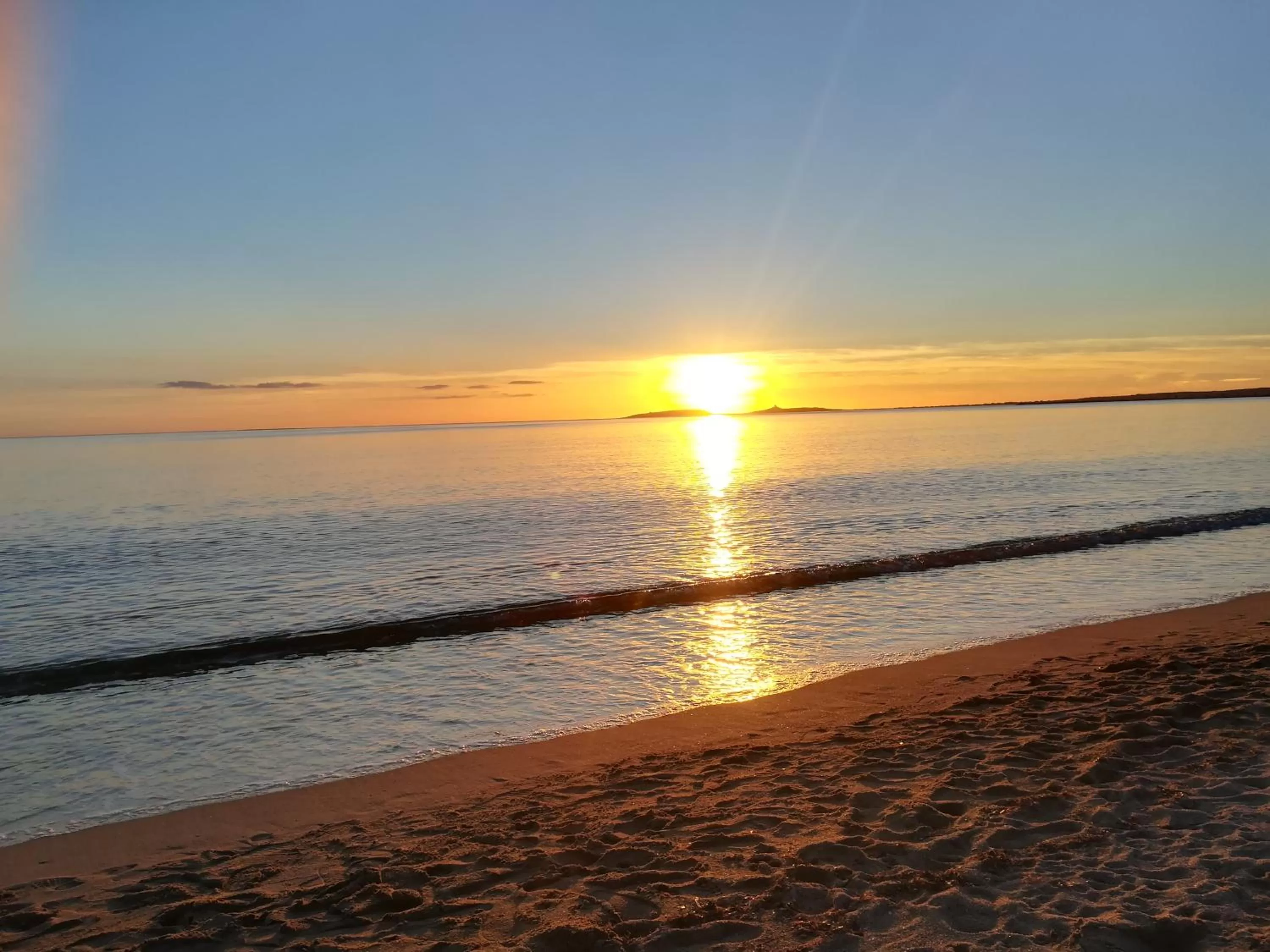 Natural landscape in Domus Aurea