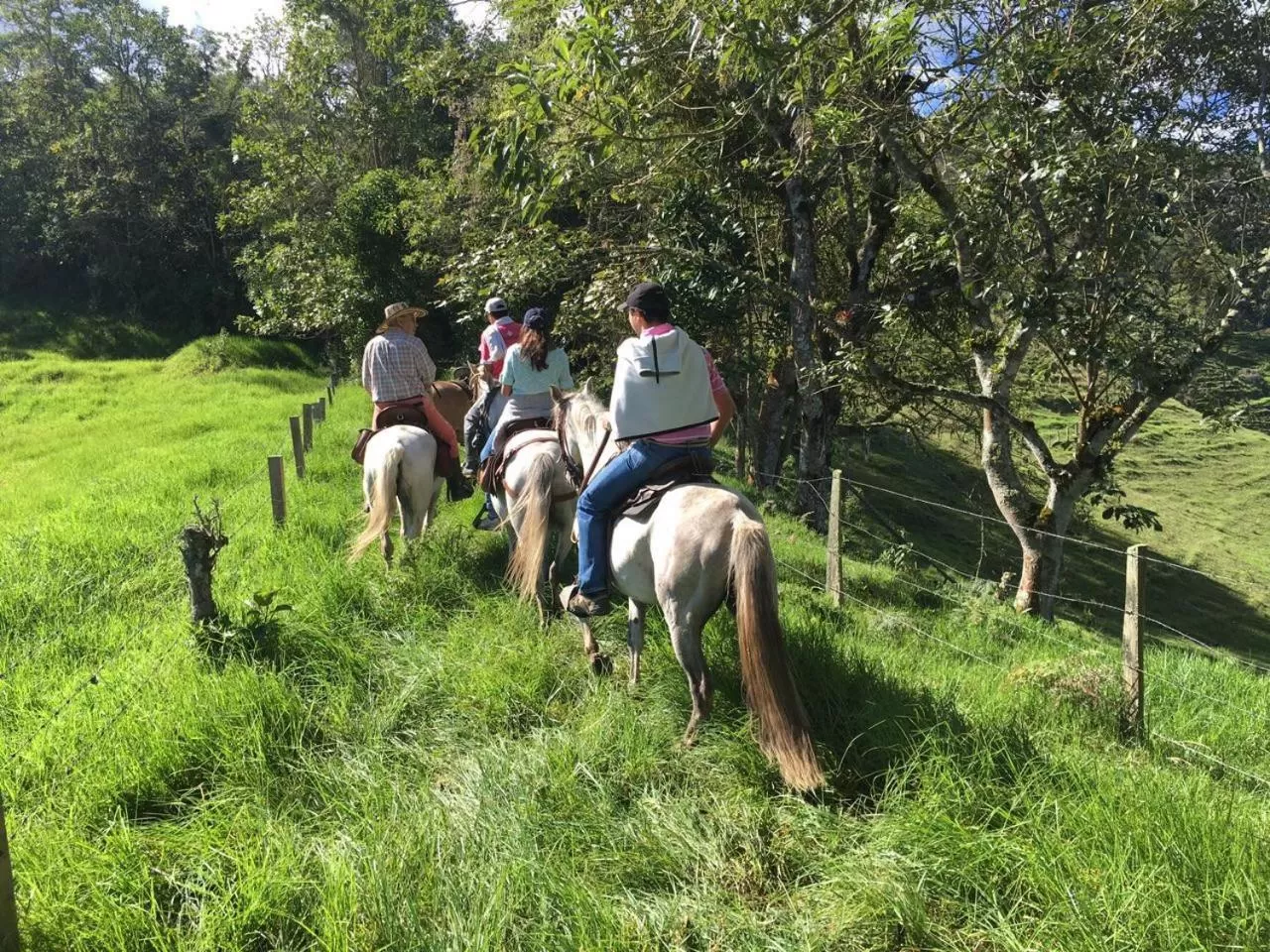 Horse-riding, Horseback Riding in La Cabaña Ecohotel - Valle del Cocora