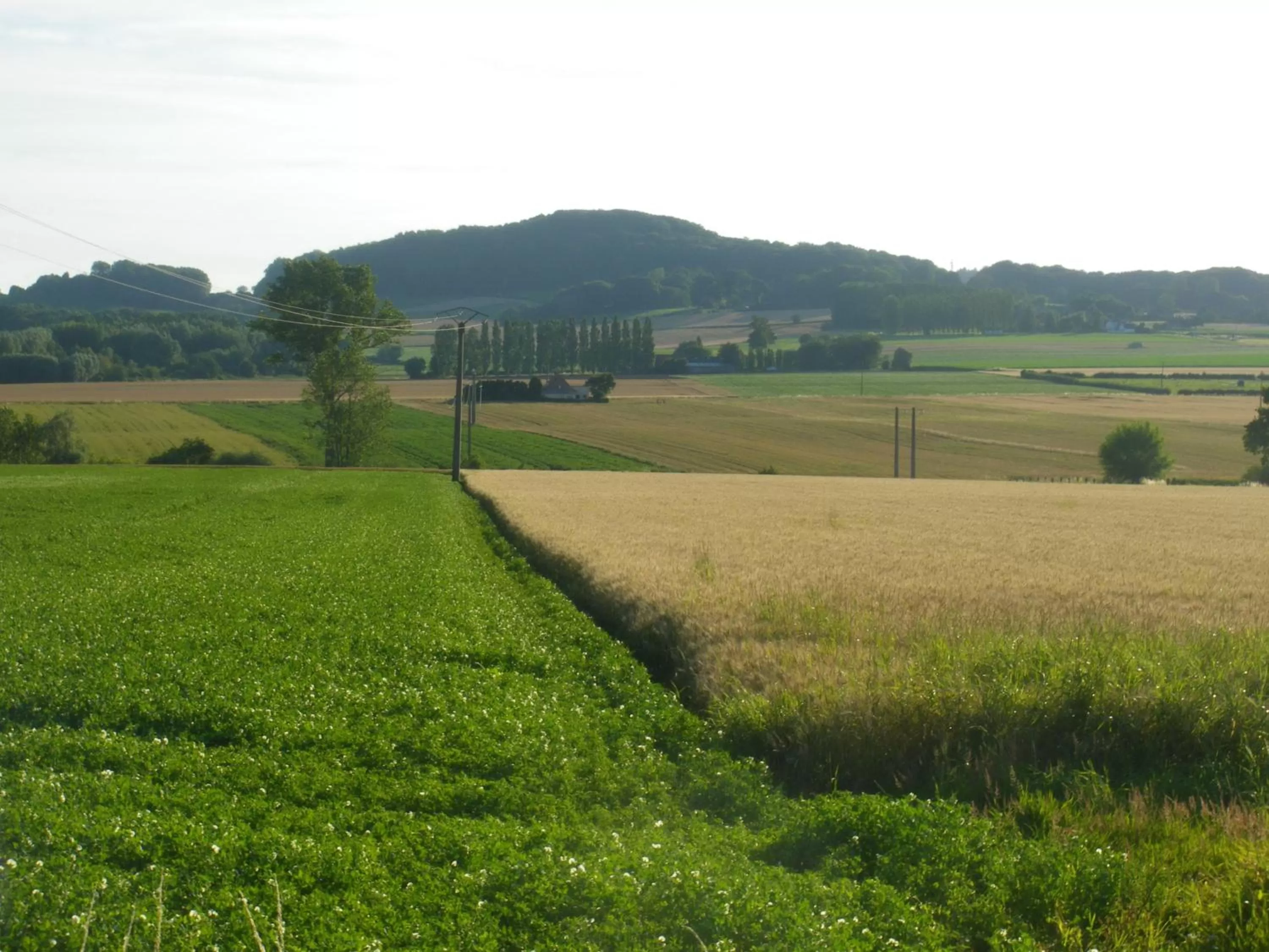 La Vallée des Trois Monts