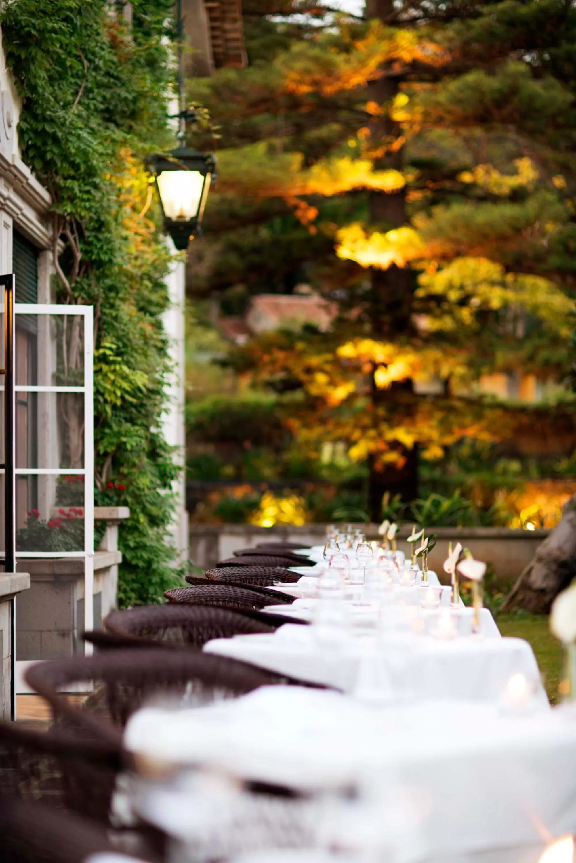 Restaurant/places to eat in Quinta da Casa Branca - Small Luxury Hotels of the World