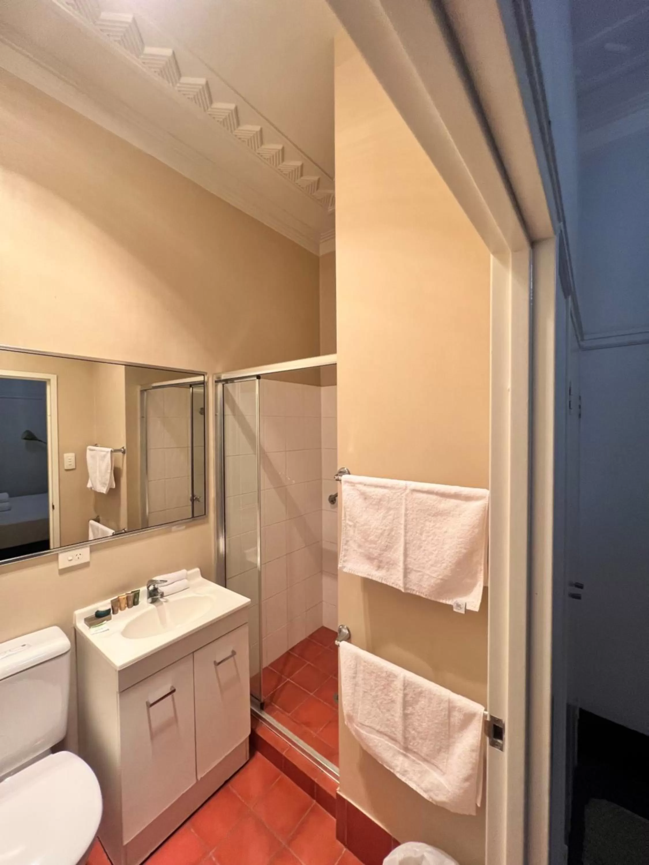 Shower, Bathroom in Charing Cross Hotel