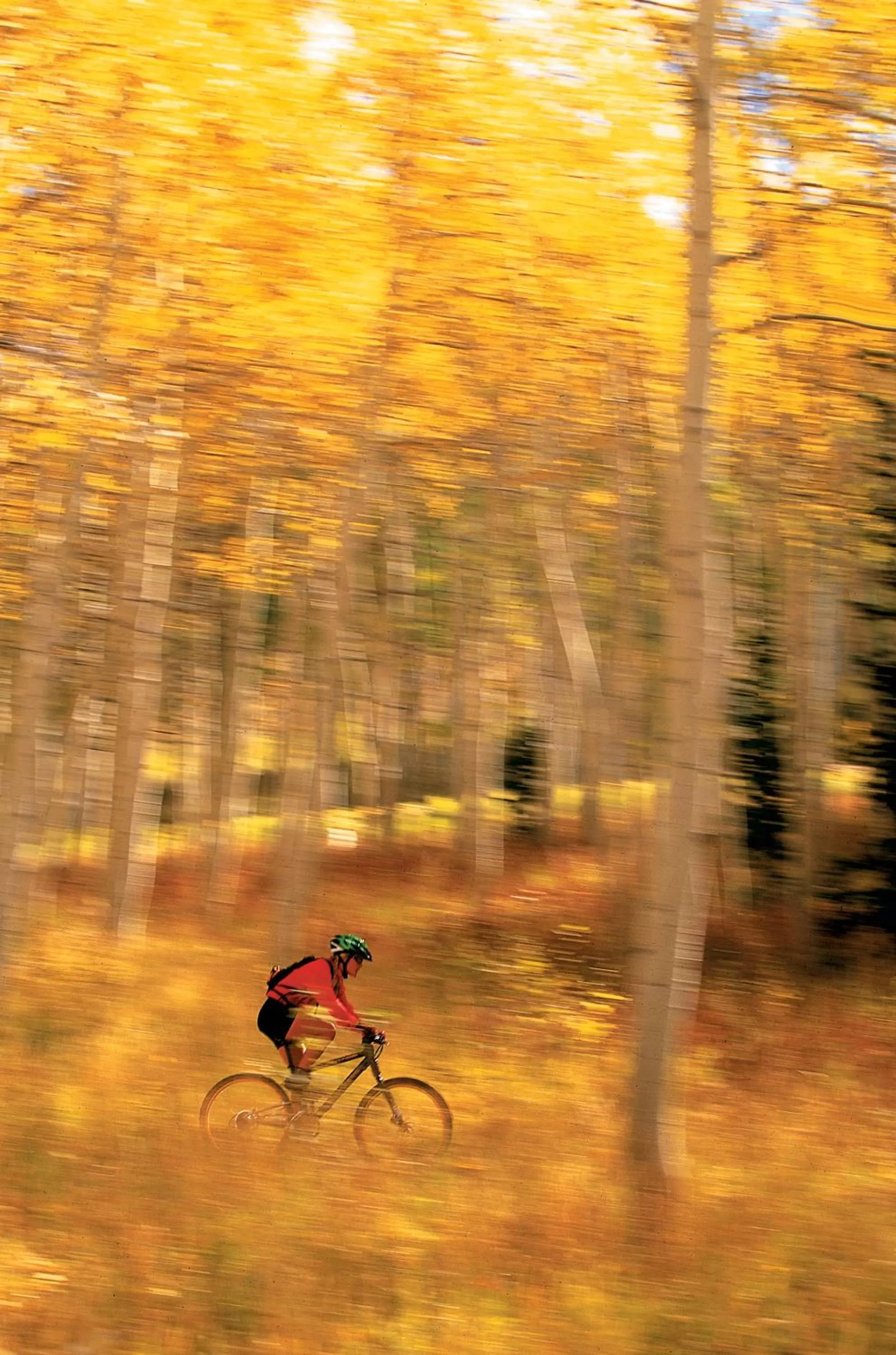 Spring in Park Inn by Radisson, Salt Lake City-Midvale