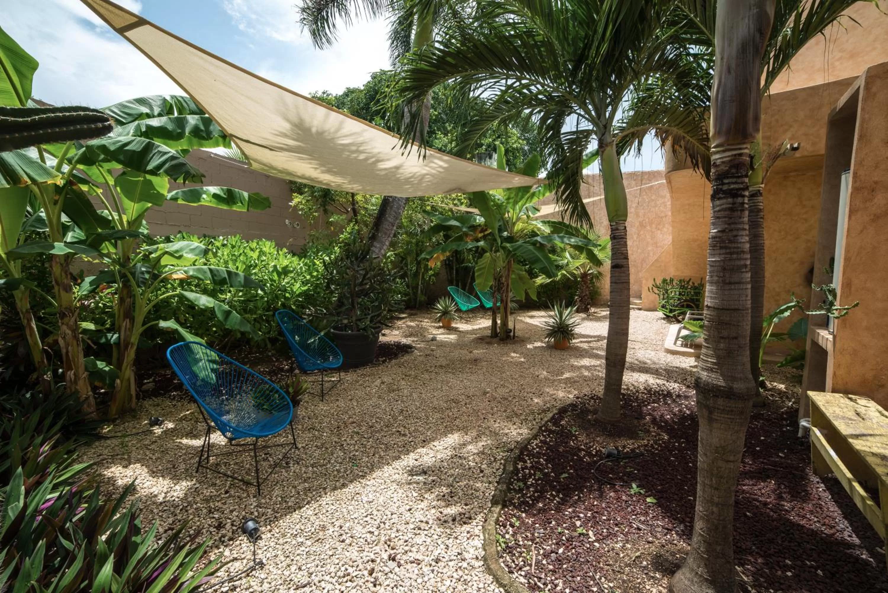 Garden in Hotel Barrio Latino
