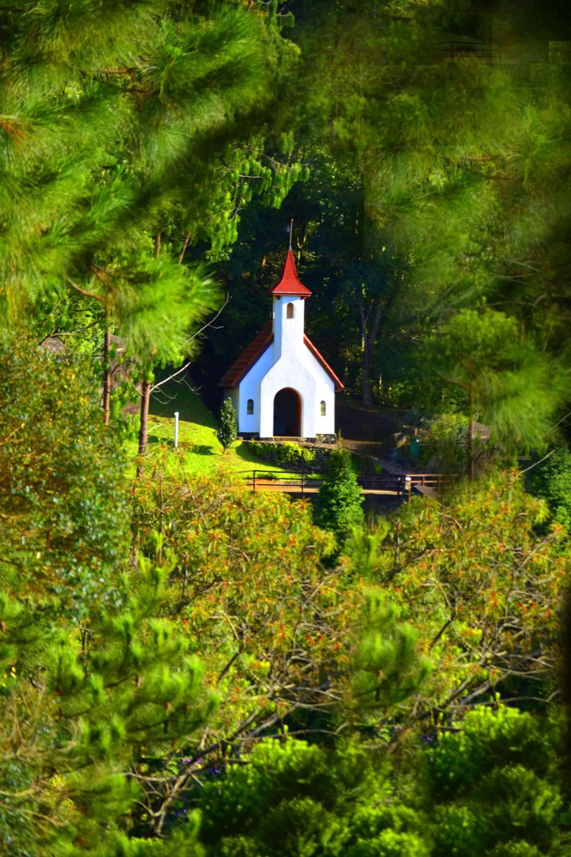 Banquet/Function facilities in Hotel Meissner Hof