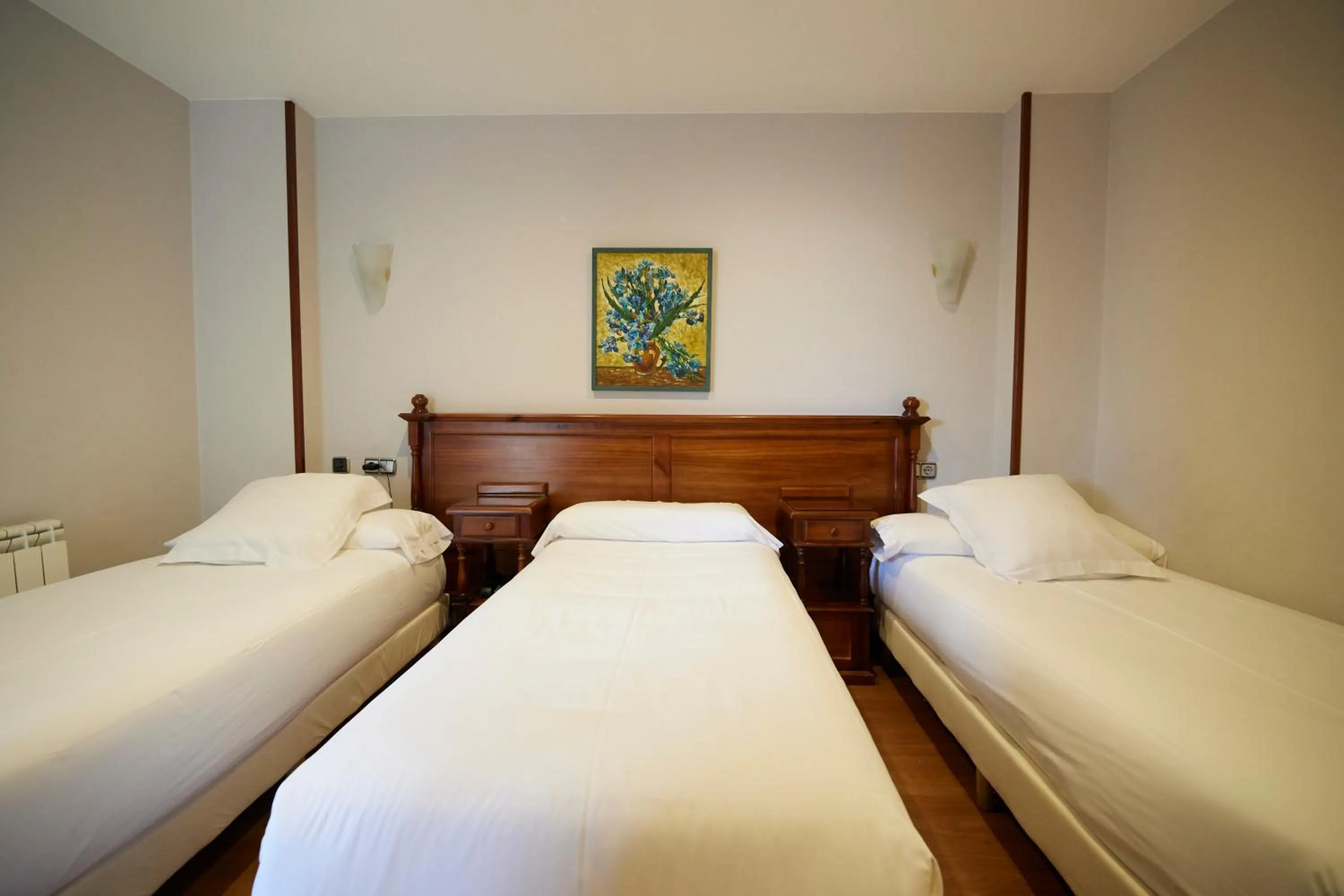 Bed in Hotel Villalegre