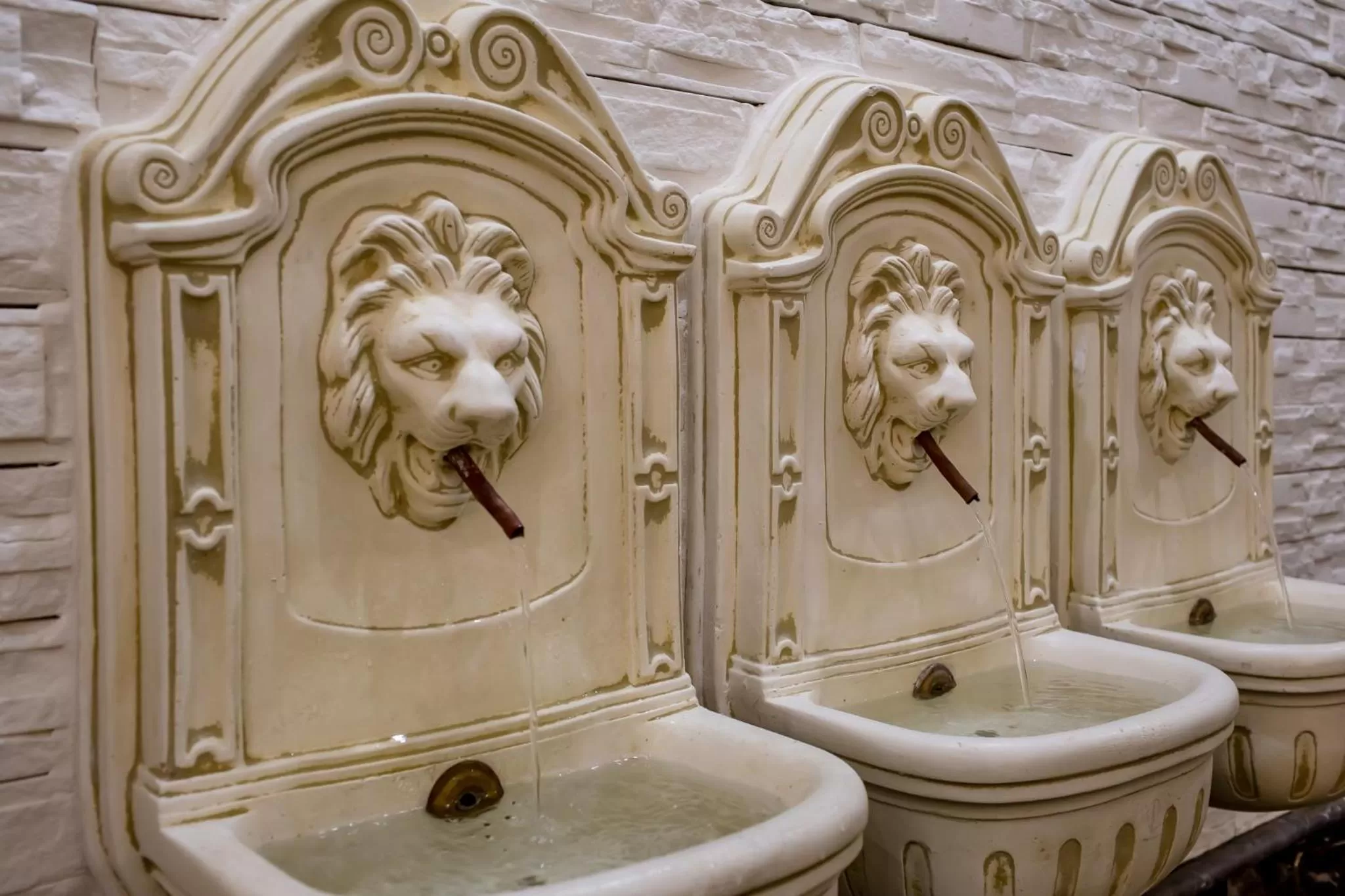 Patio in La Paloma Blanca Hotel