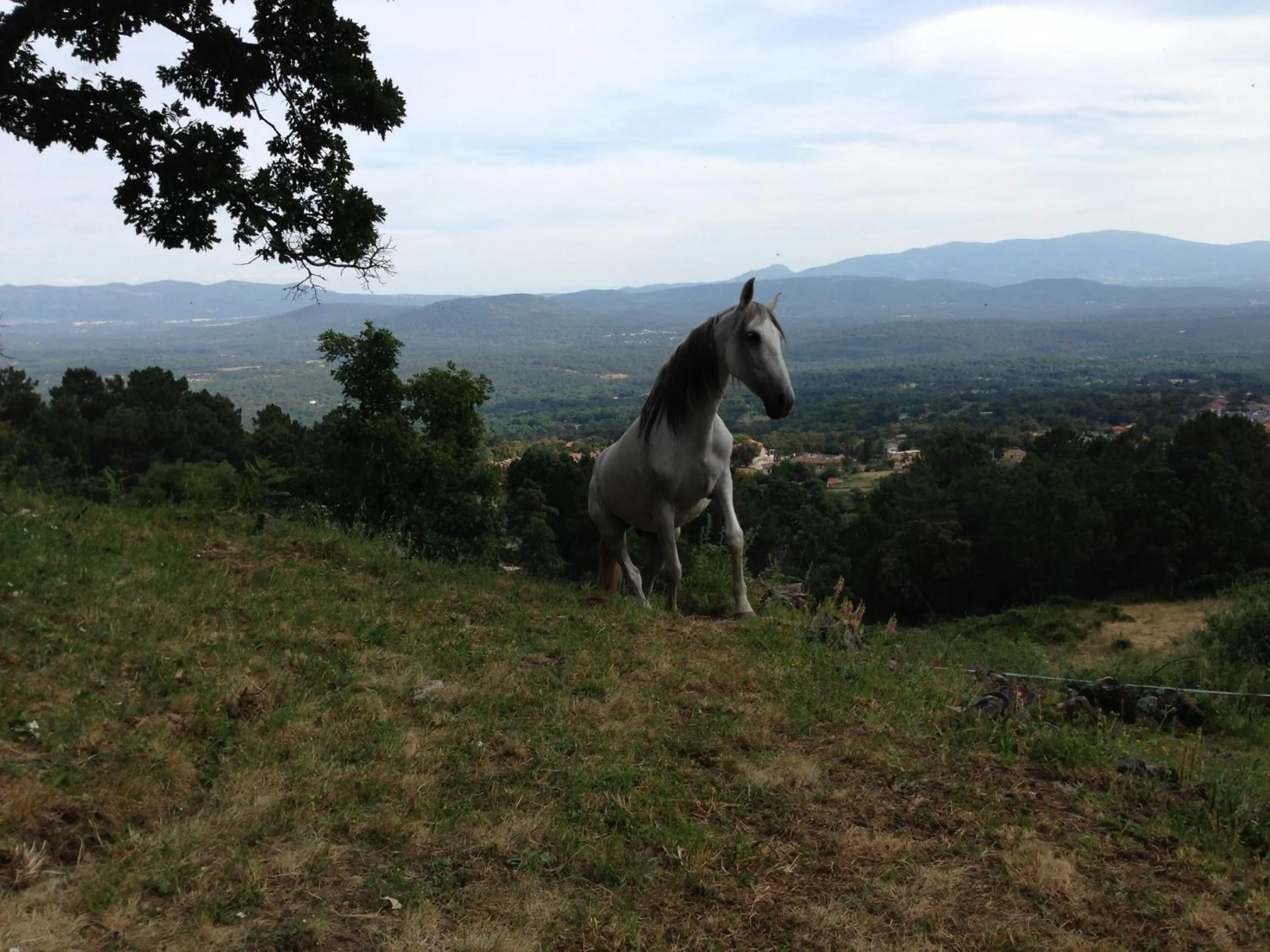 Natural landscape in Hotel La Canela