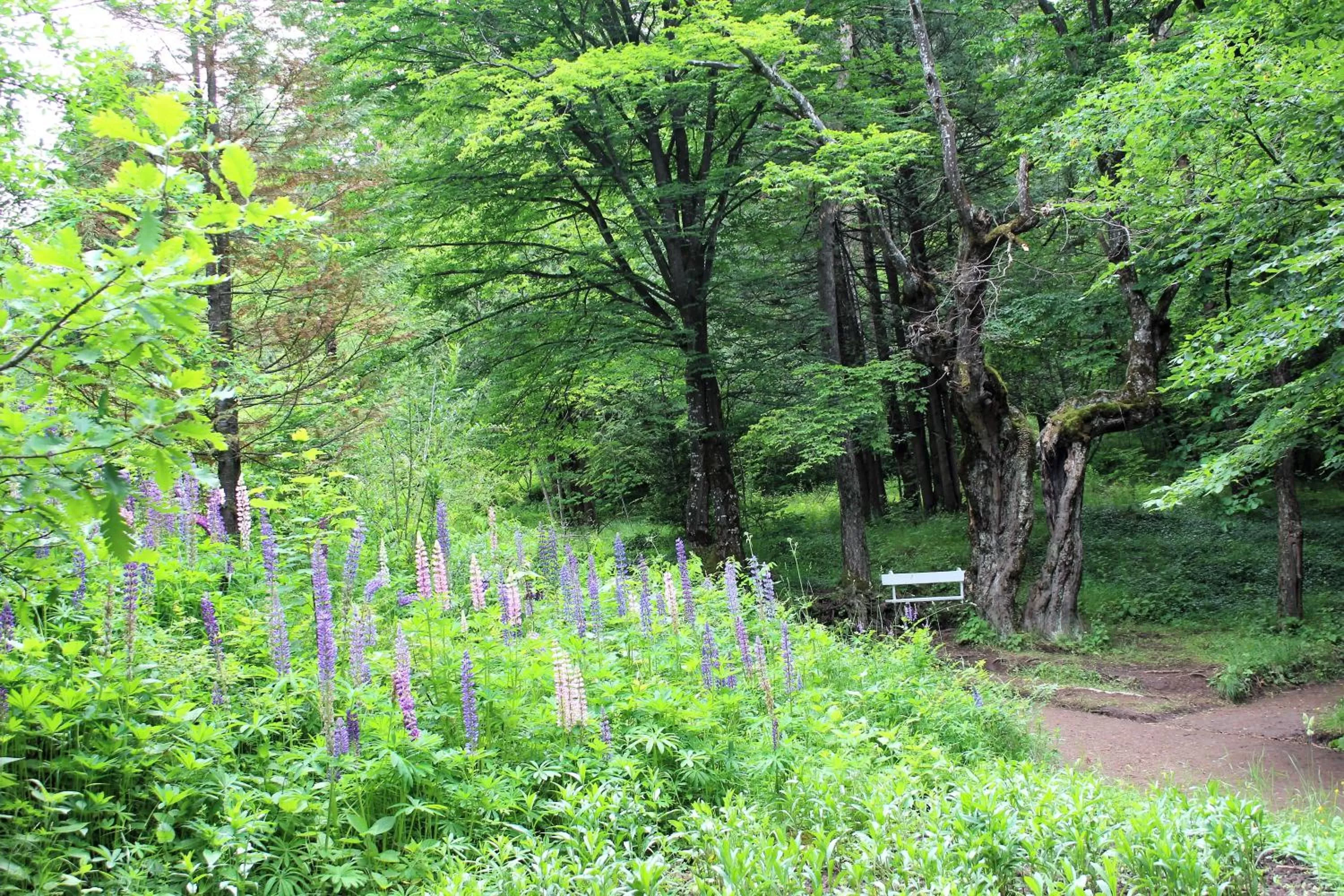 Entertainment, Natural Landscape in Ruzanna's Bed & Breakfast