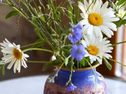 Other in Chambres d'hôtes-Les Chambres de Mado