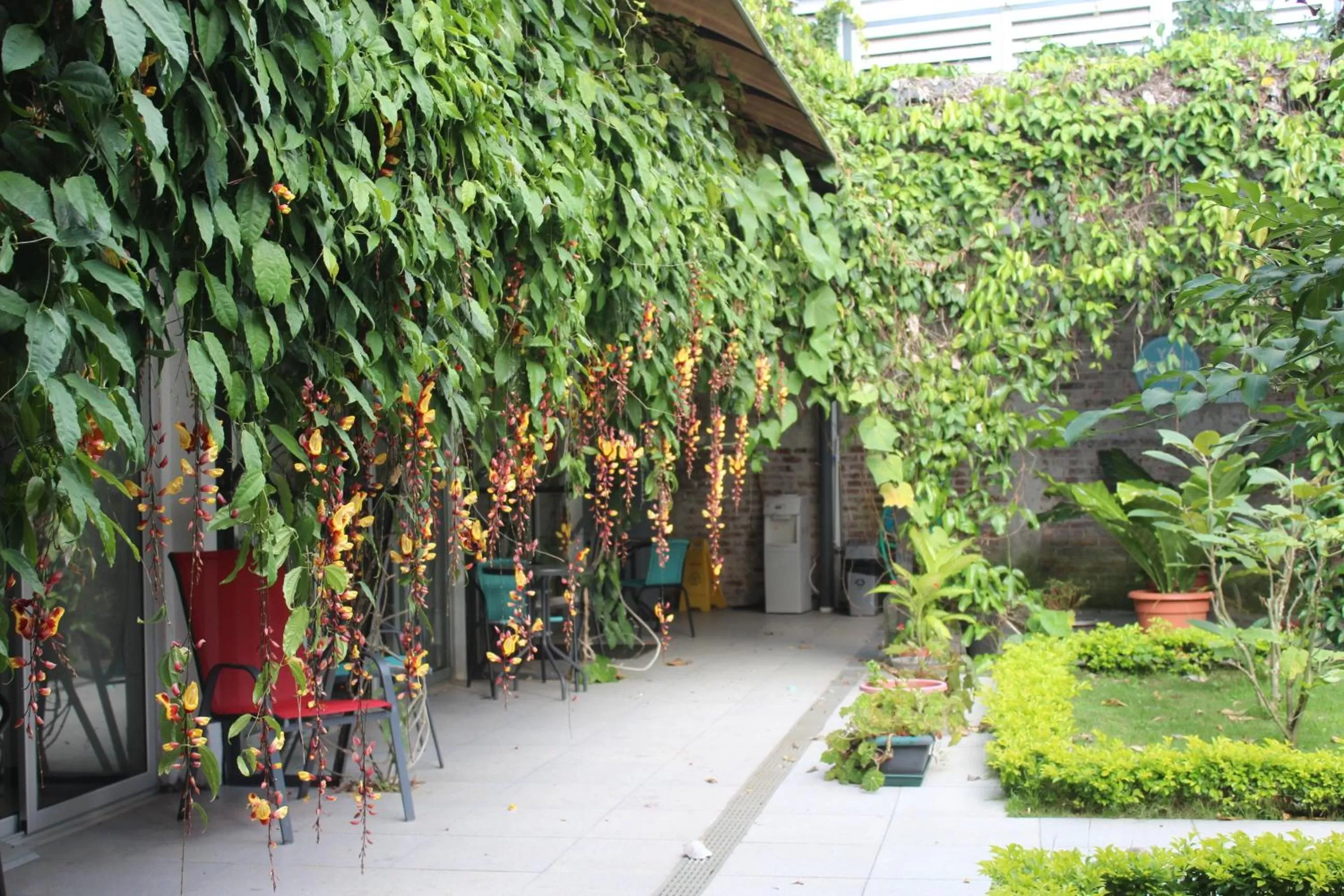 Garden in Cando Living Apartments in Central Avenue