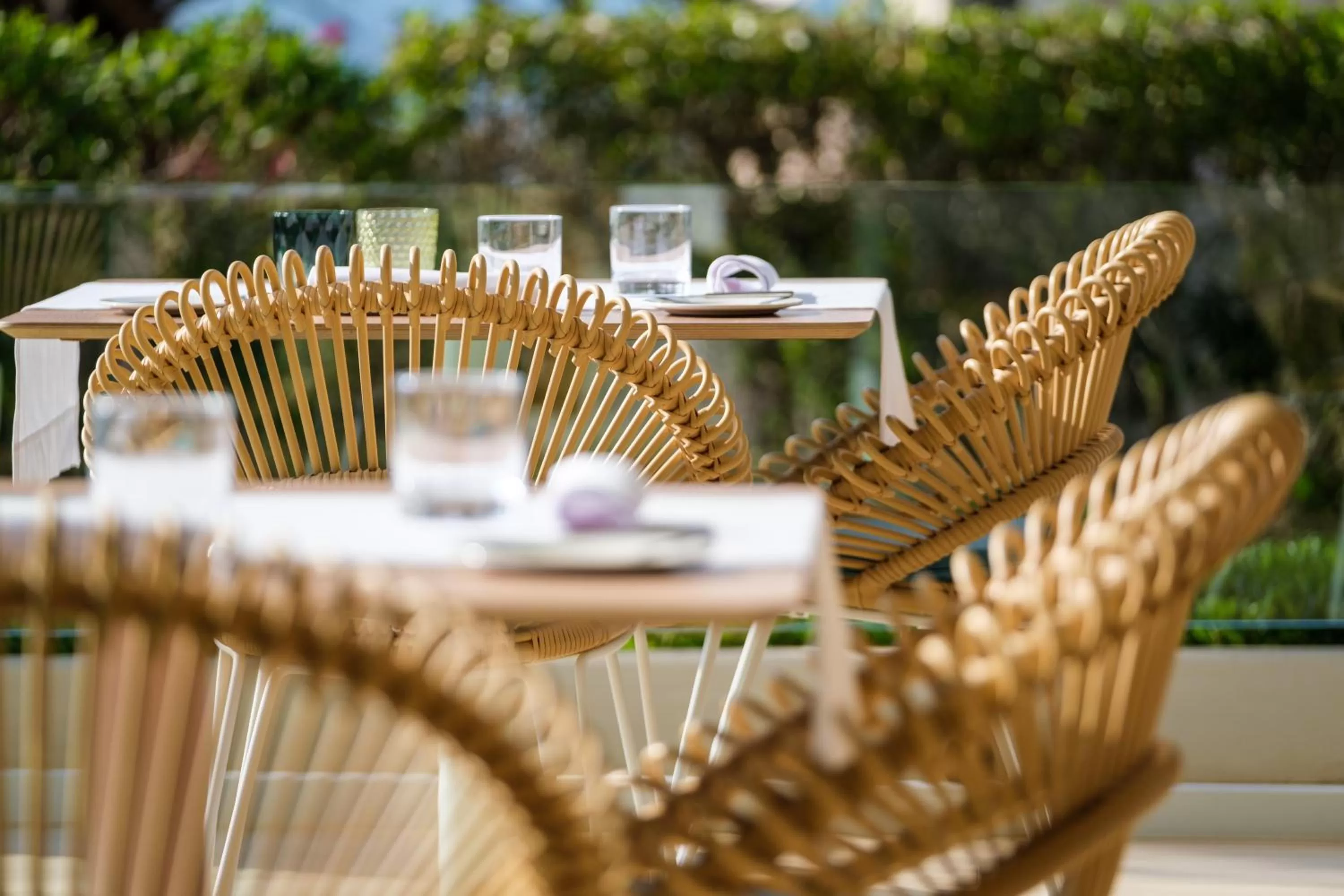 Restaurant/places to eat in Hotel Villa Chiquita - Adults Only - Over 12