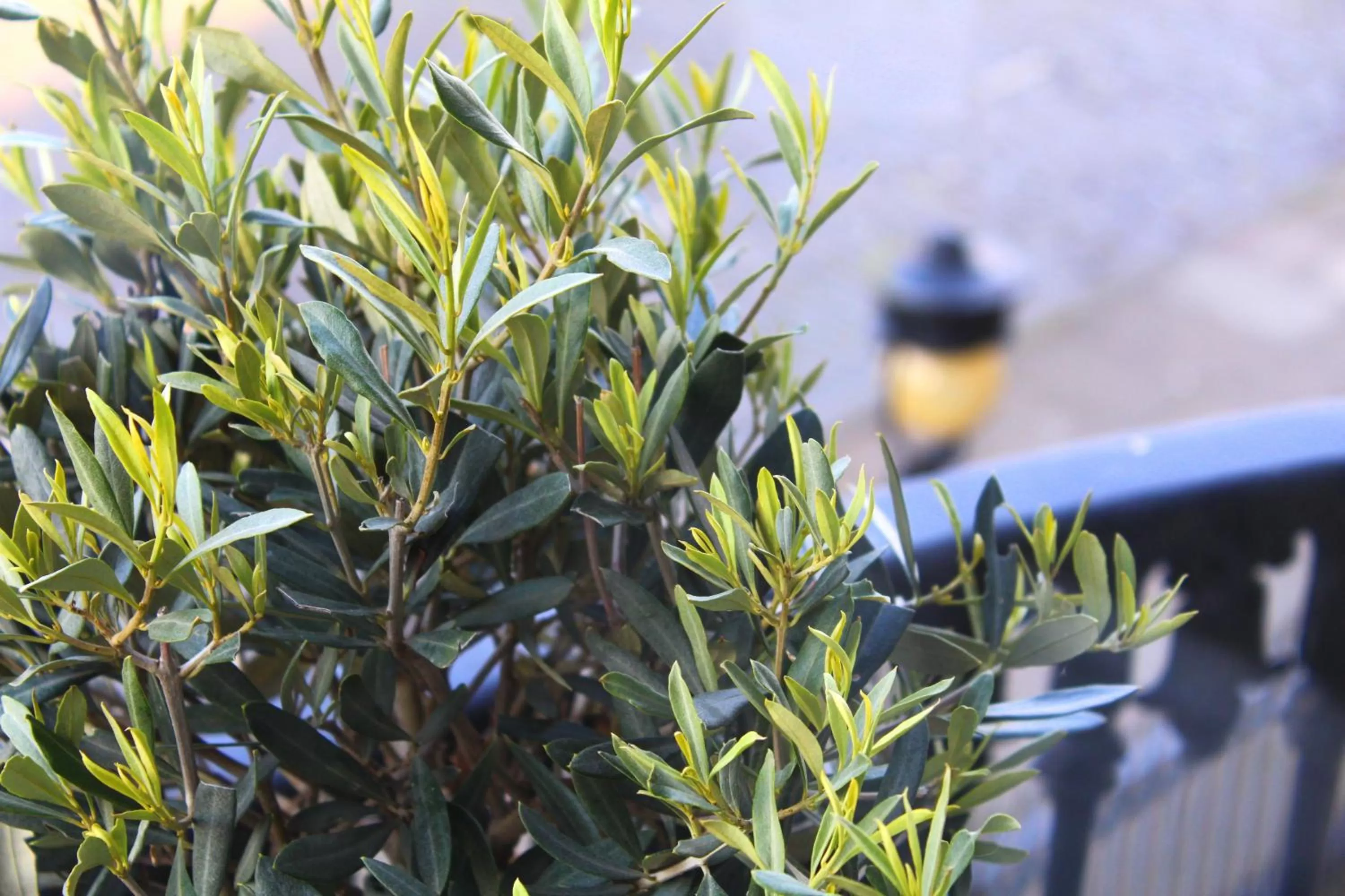 City view in 24 Royal Terrace