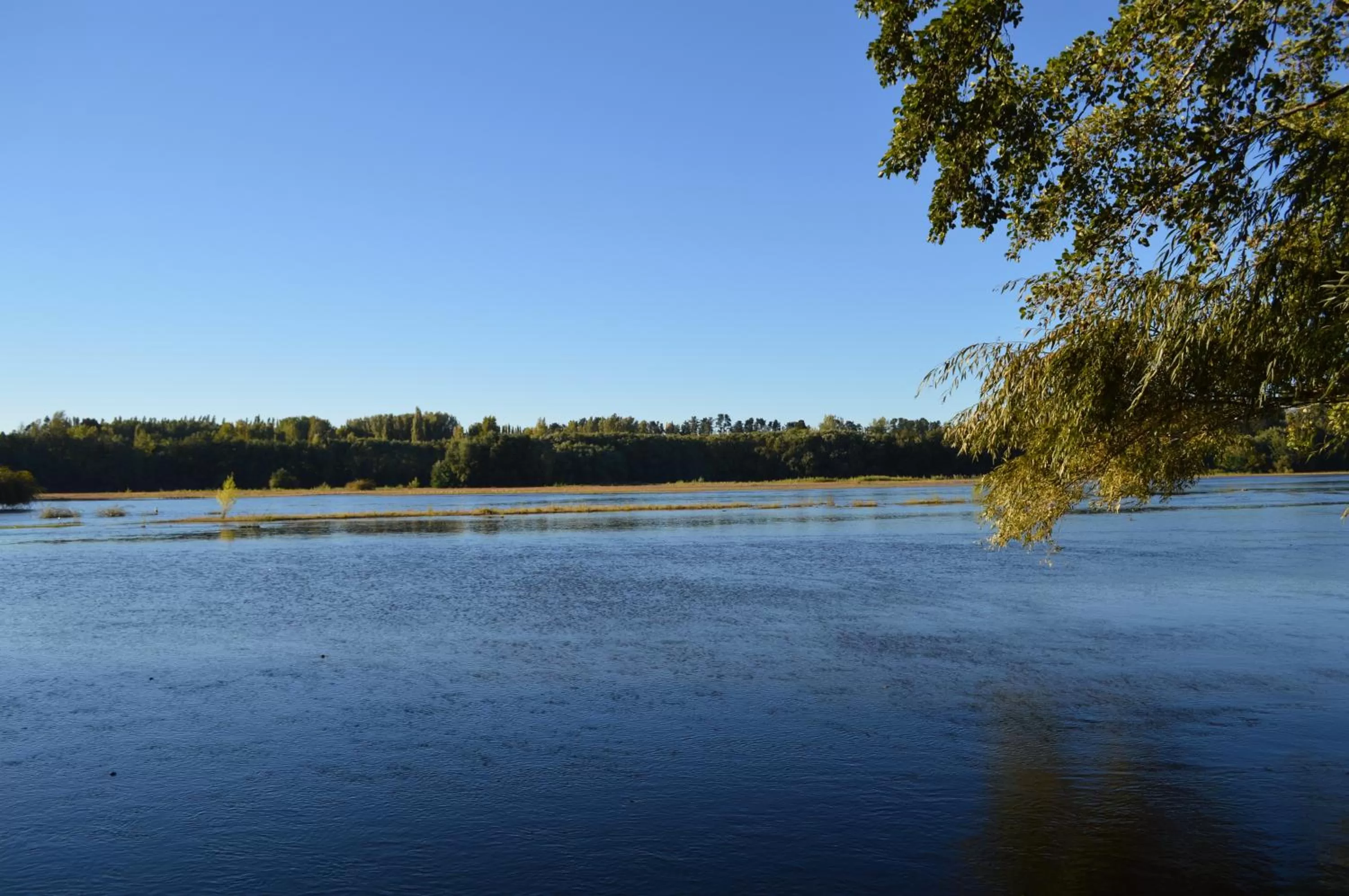 Coyunche Cabañas y Camping Laja & San Rosendo