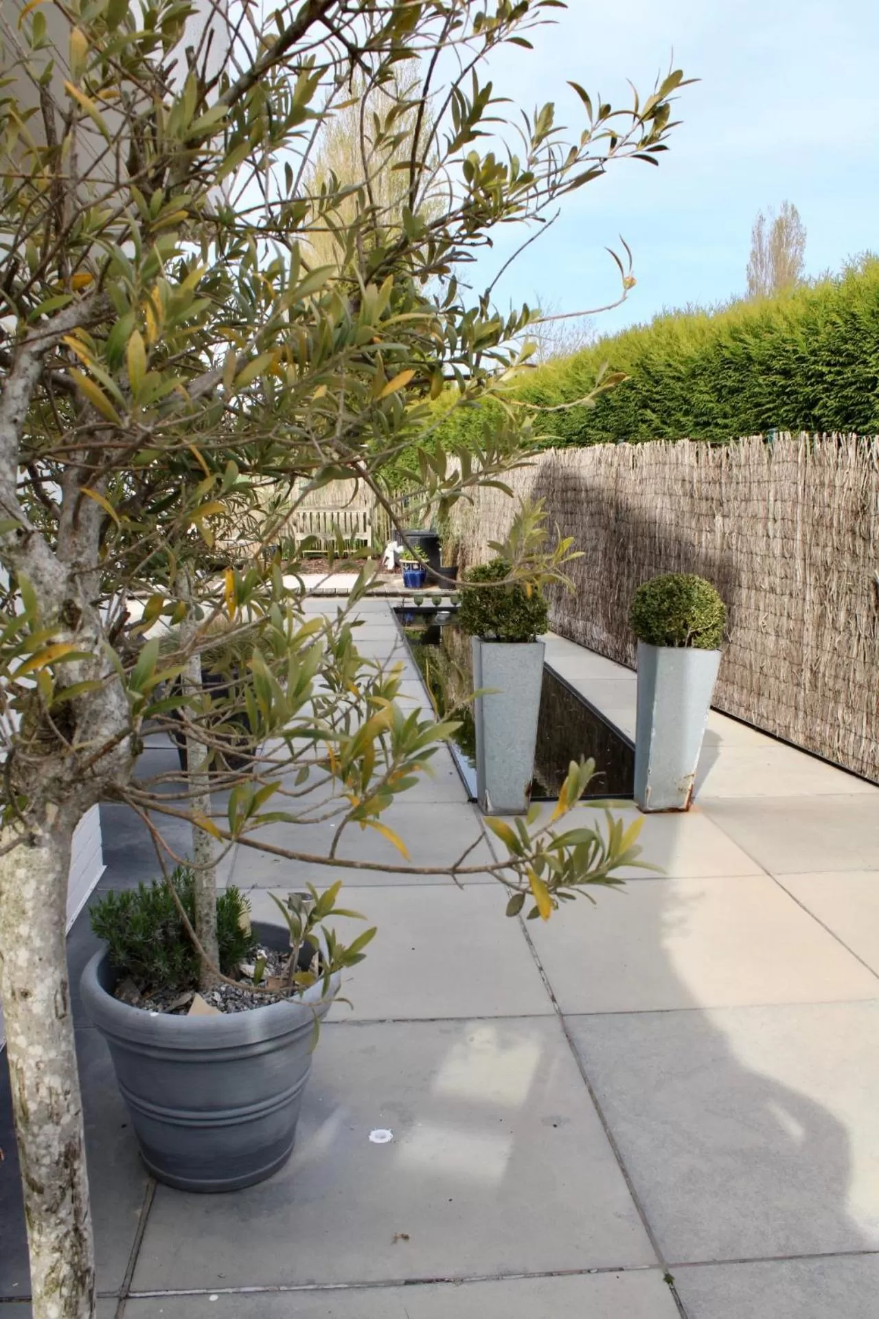 Property building in Studio Art-hill