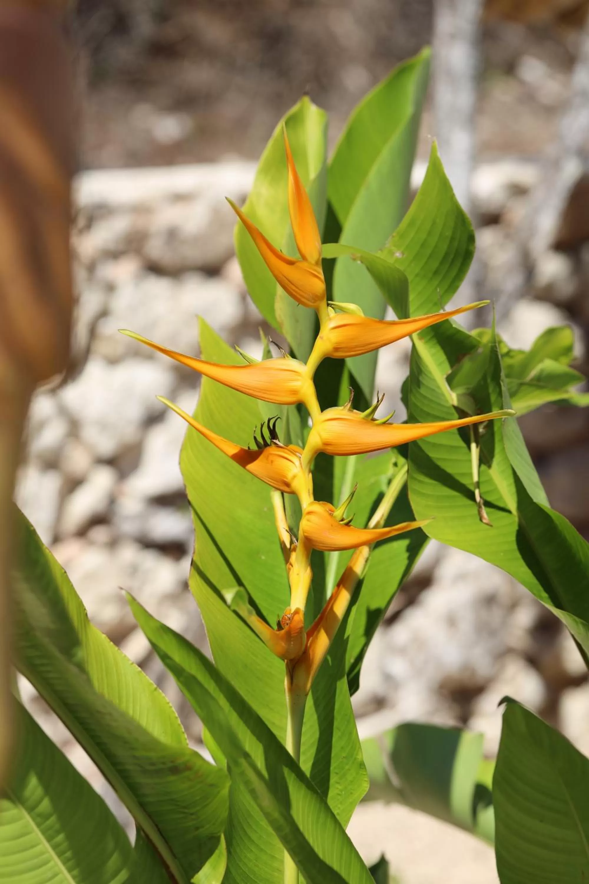 Swimming pool in RESET ATEMPORAL