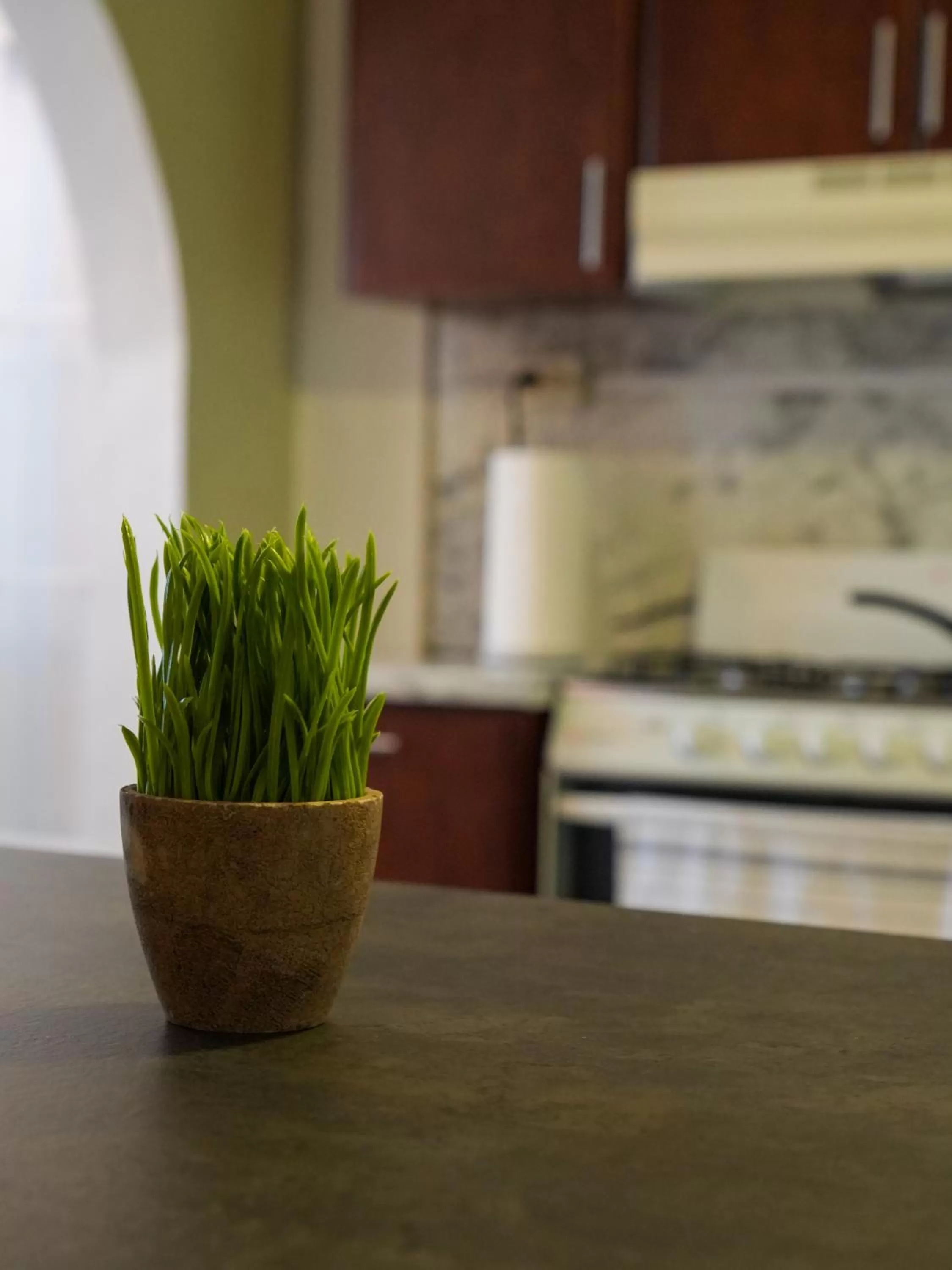 Kitchen/Kitchenette in El Flamingo Beach Club