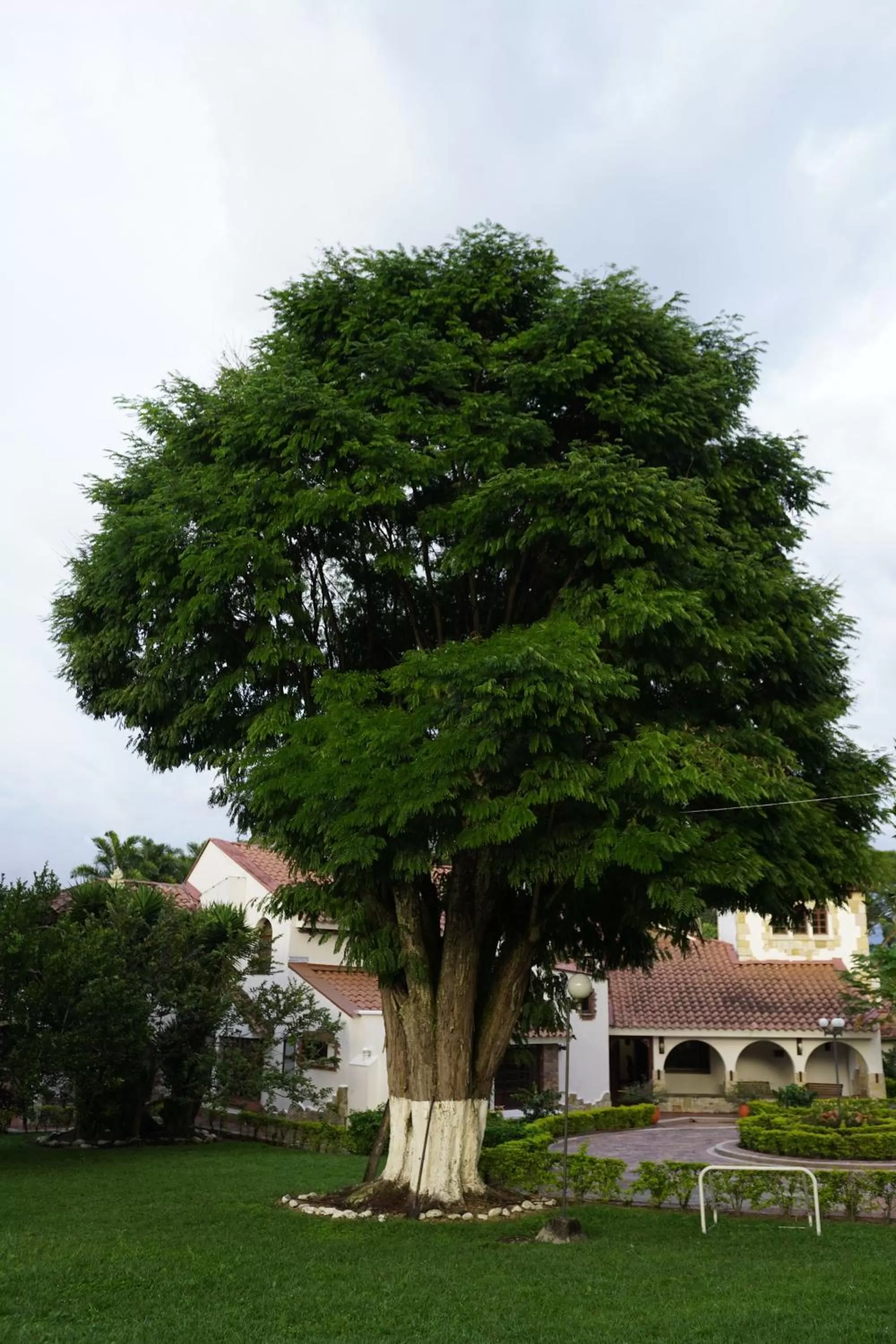 Garden, Property Building in Hotel Chalet El Castillo by Majuva