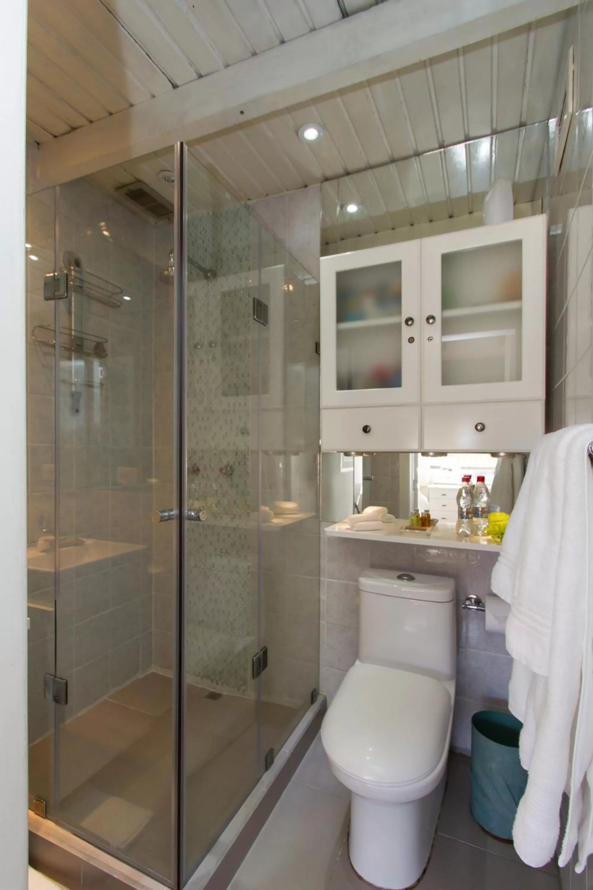 Bathroom in Penthouse Lodge B&B