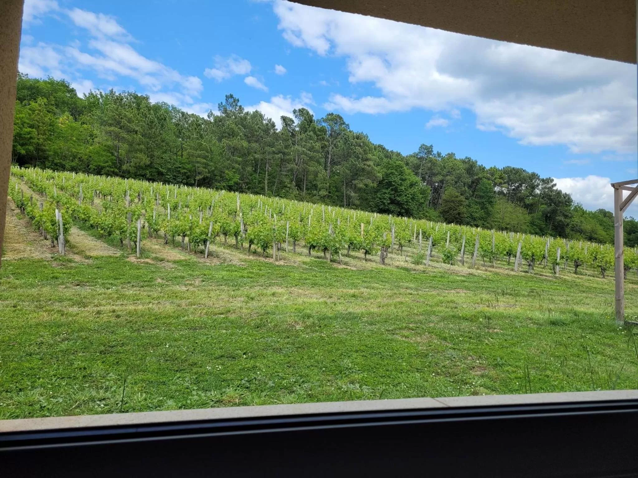 Garden in A L'OMBRE DE LA TREILLE -Proche Saint-Emilion