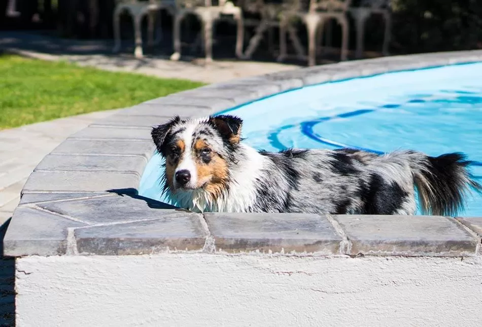 Jonkershoek Guest Farm