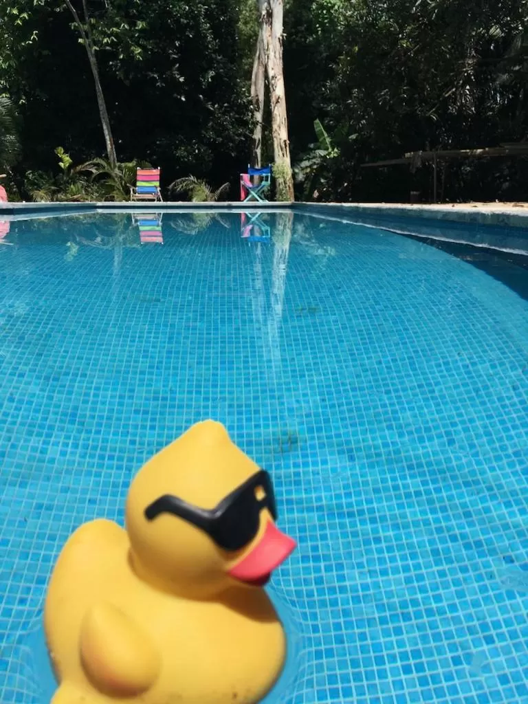 Natural landscape in Sand Dollar Beach Bed & Breakfast