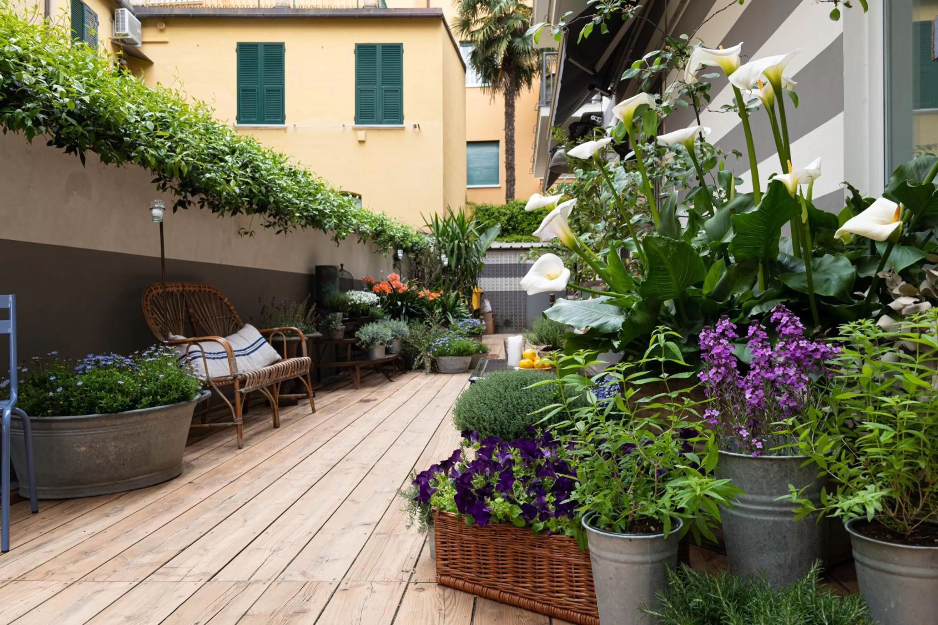 Garden in Hotel Blu di Te