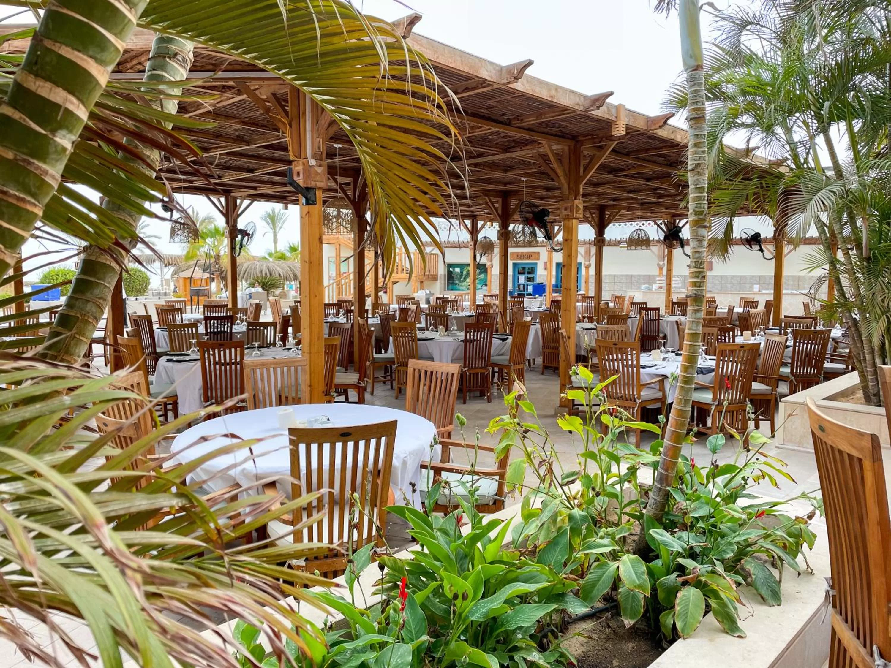Restaurant/places to eat in The Breakers Diving and Surfing Lodge Soma Bay