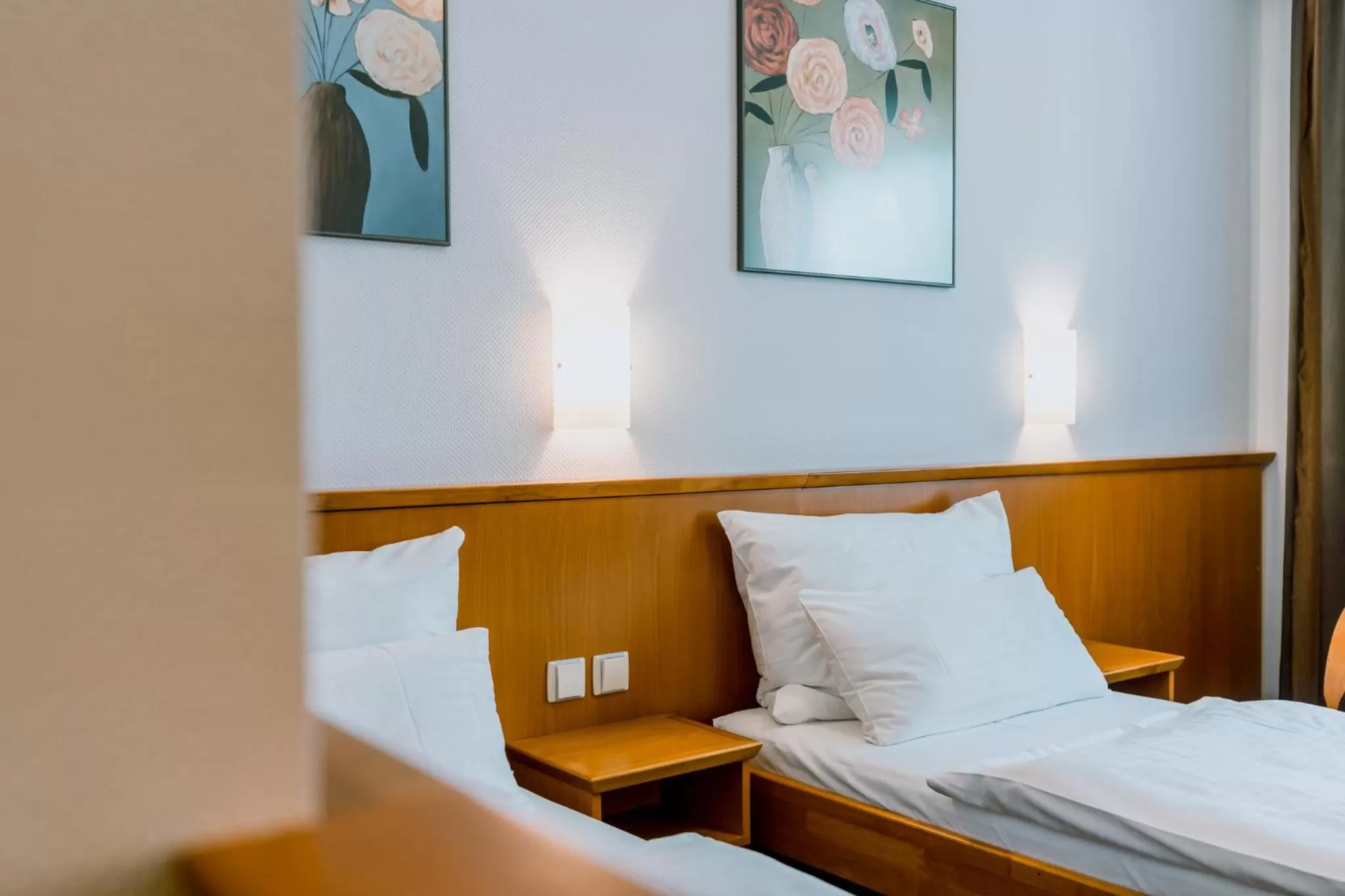 Bed in Prachárna Park Hotel Olomouc