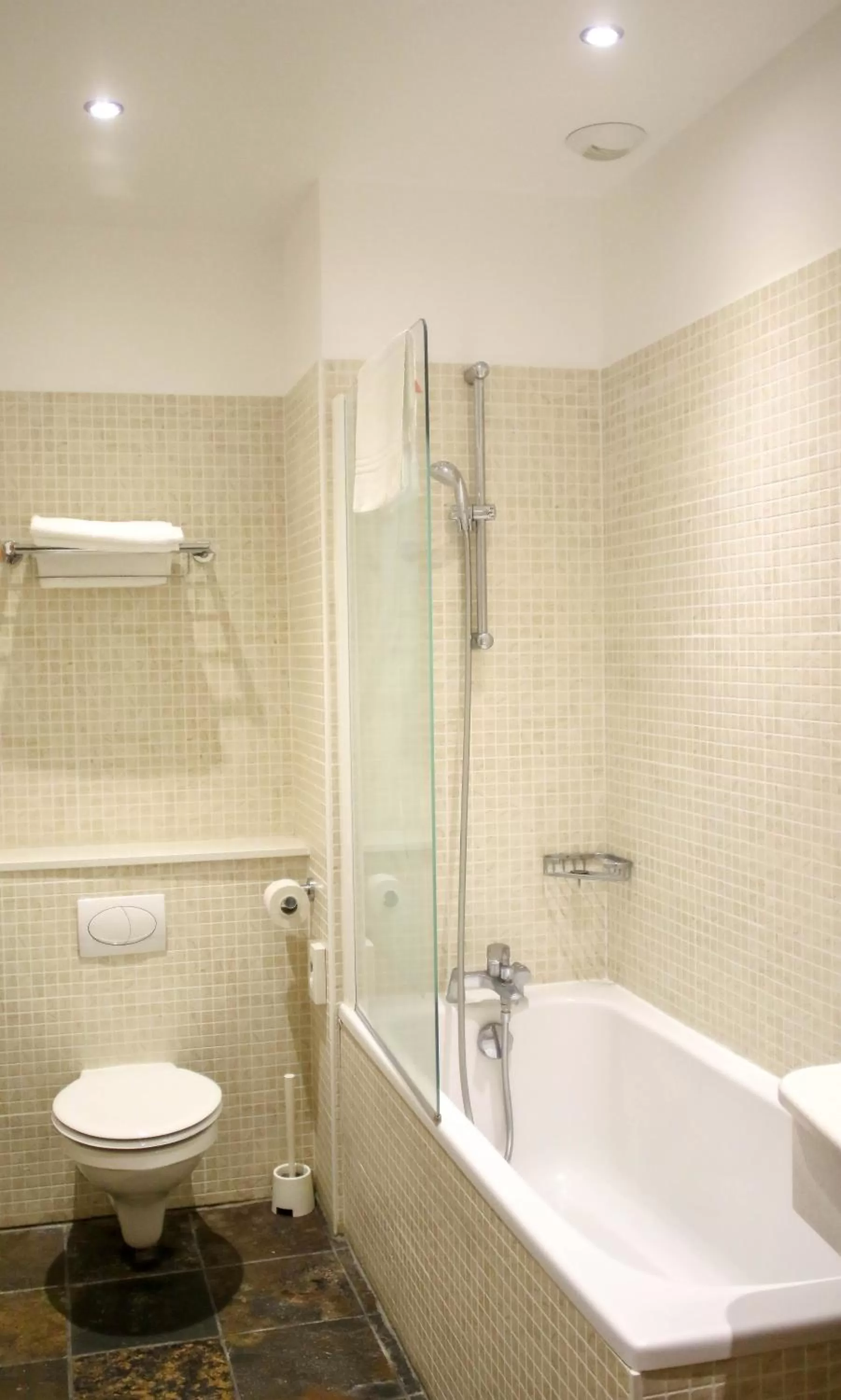 Shower in Hôtel Mercure Saint-Nectaire Spa & Bien-être